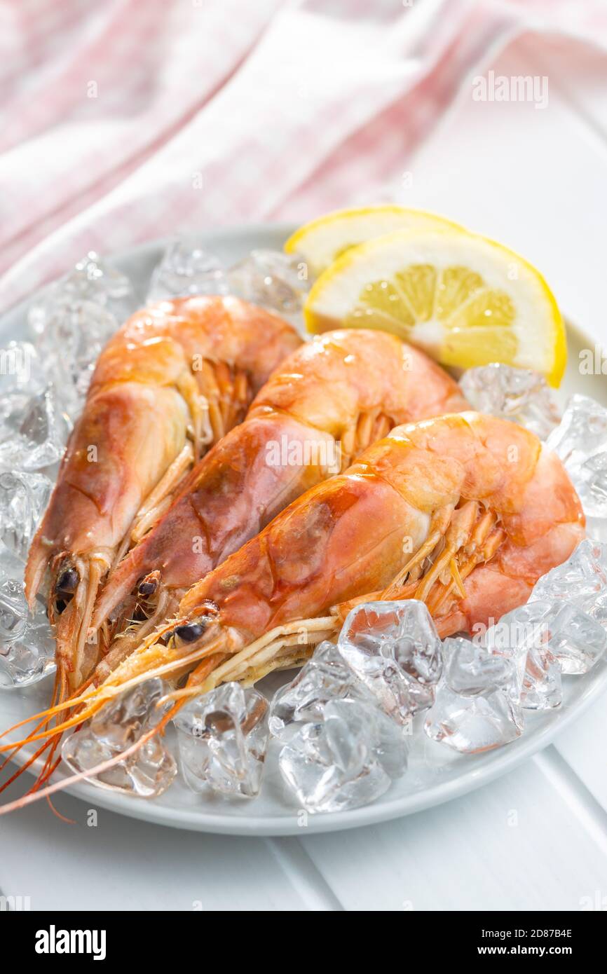 Gekochte Tigergarnelen mit Eis auf dem Teller. Leckere Garnelen. Stockfoto
