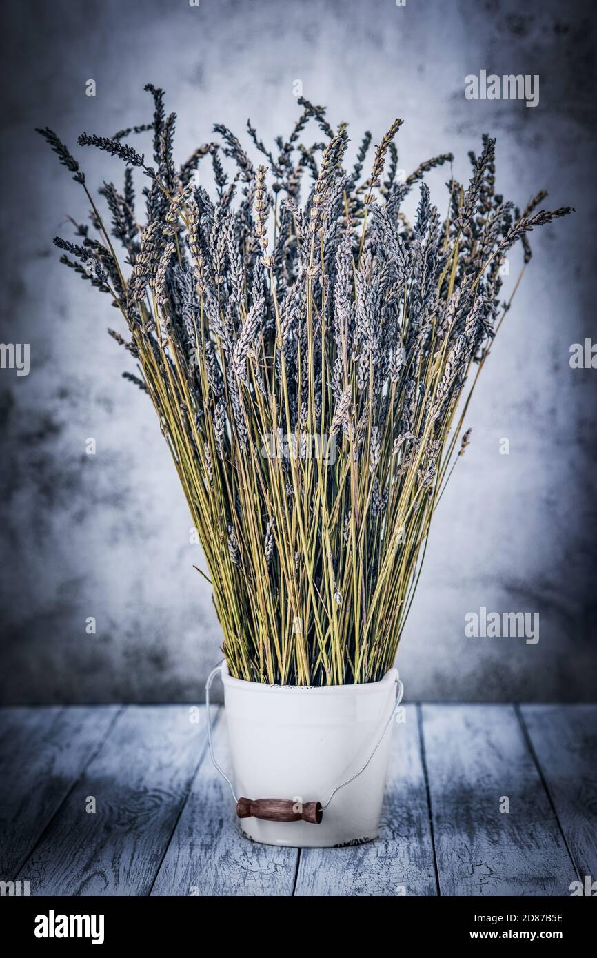Trocknen Sie Lavendel in einem weißen Eimer auf einem hölzernen Hintergrund Stockfoto