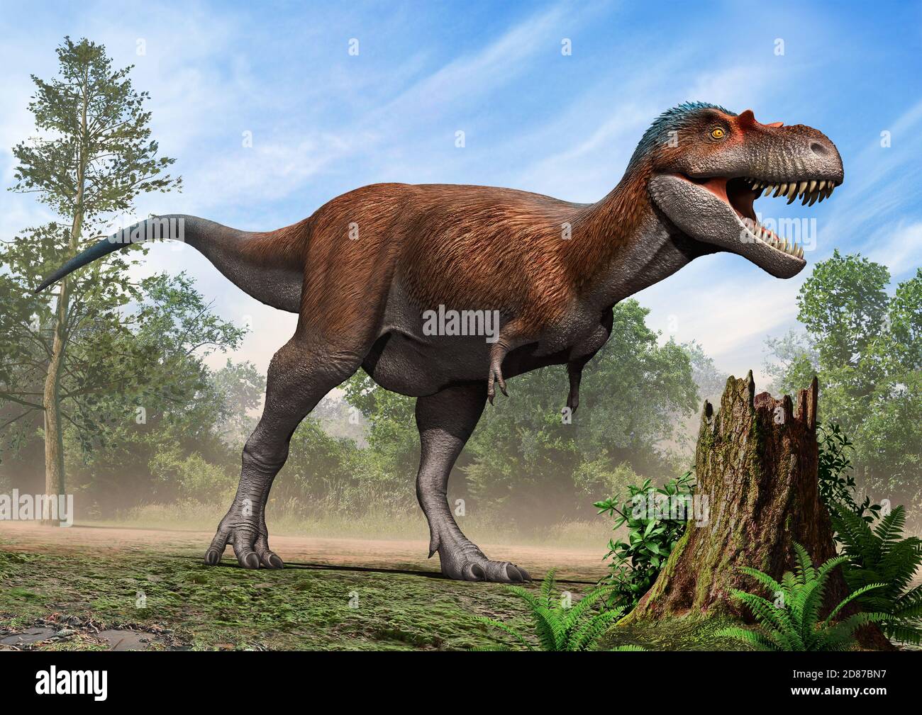 Albertosaurus Sarkophag Stockfoto