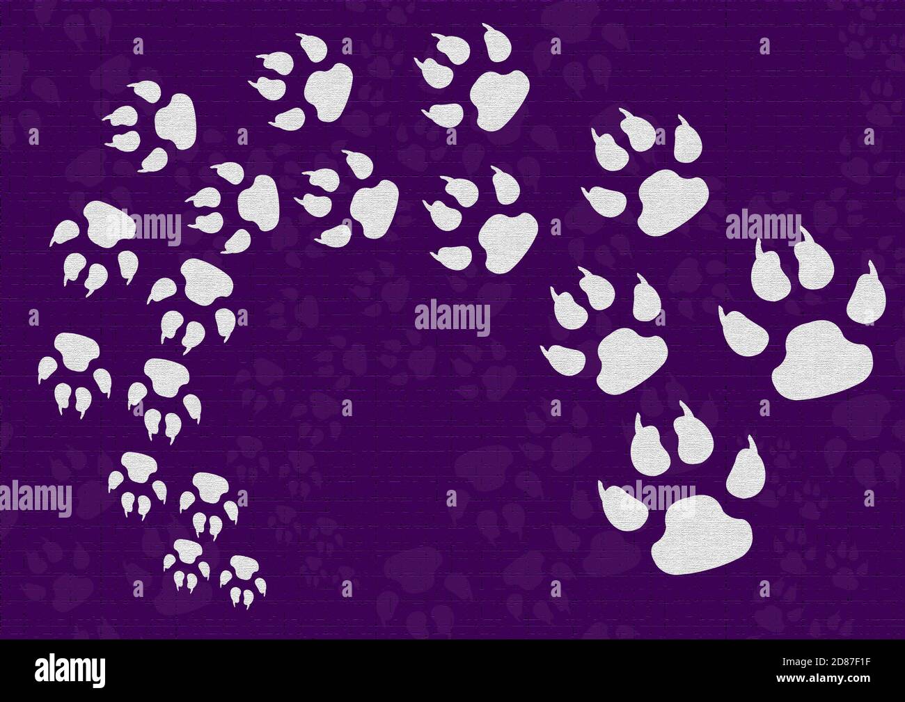 Tier Fußabdruck Tapete lila Farbe Stockfoto