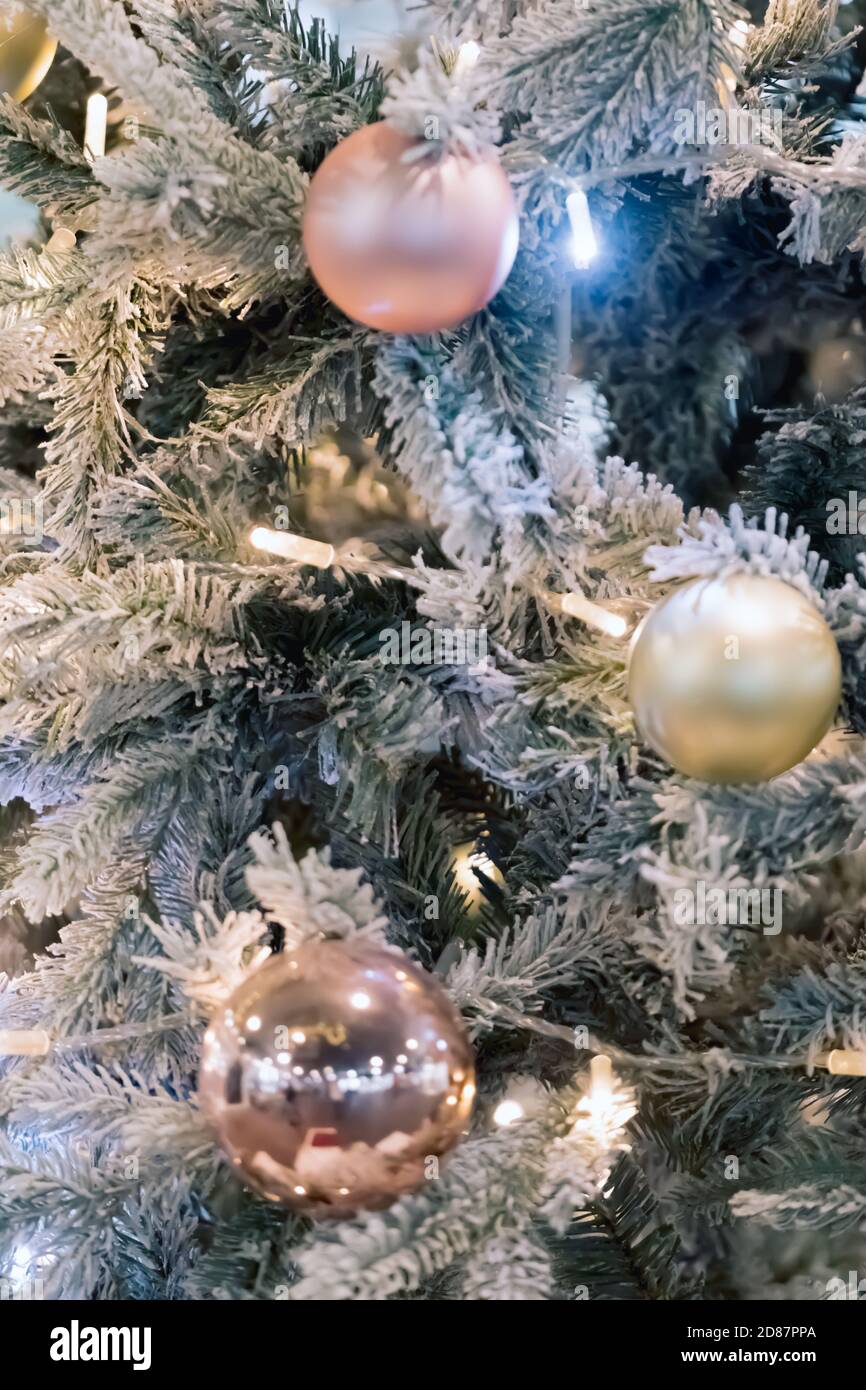 Goldene Kugeln auf Zweig der Fichte. Weihnachten Hintergrund. Frohe Weihnachten und Glückliche Neujahrswünsche Postkarte. Stockfoto