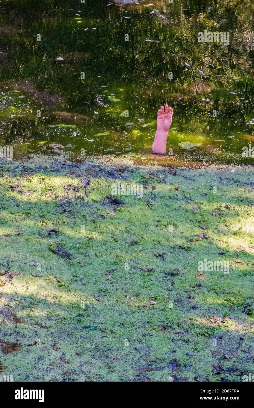 Hand stochend aus dem Wasser des Baches Stockfoto