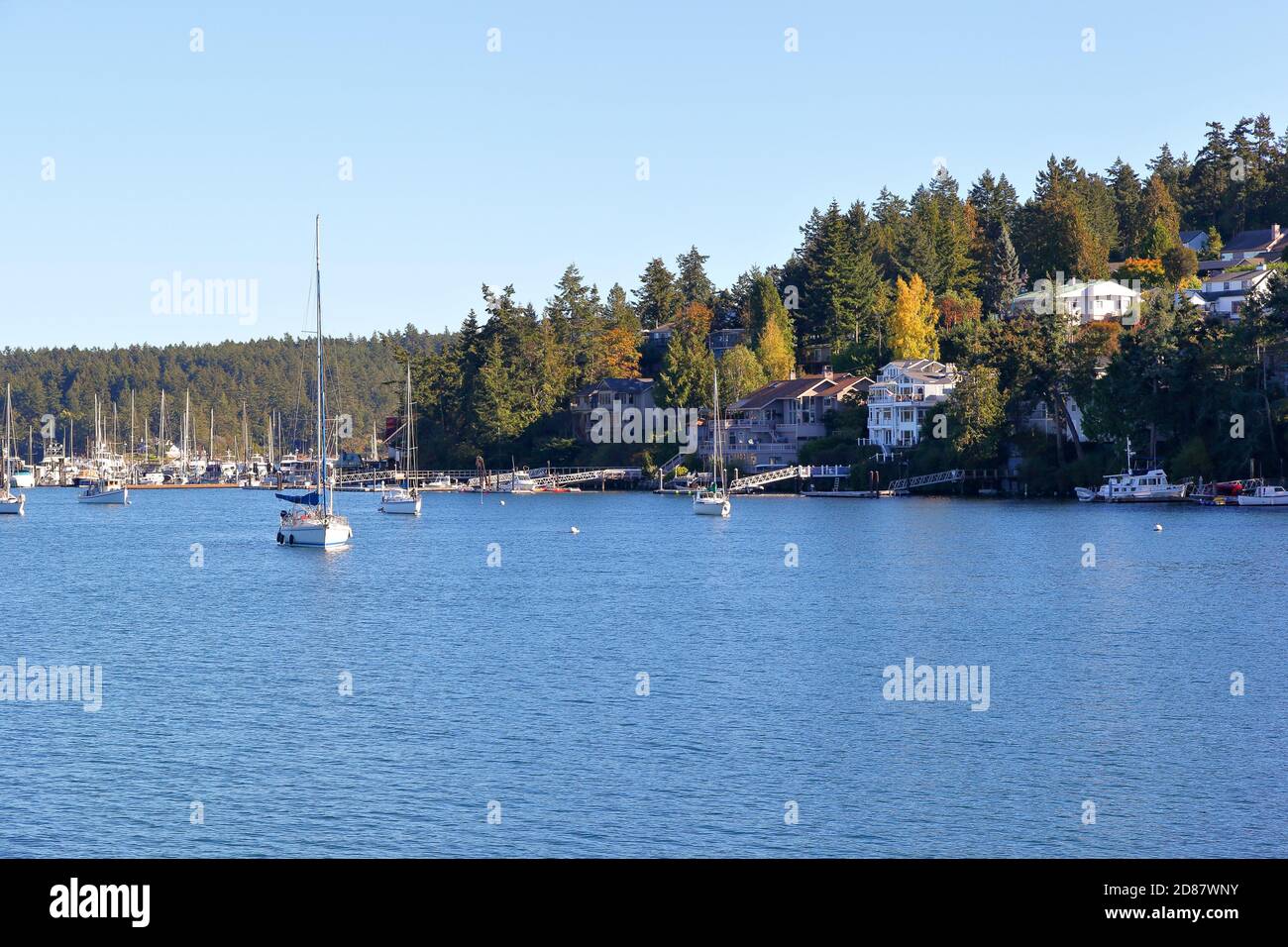 Friday Harbor, San Juan Island, Washington - USA Stockfoto
