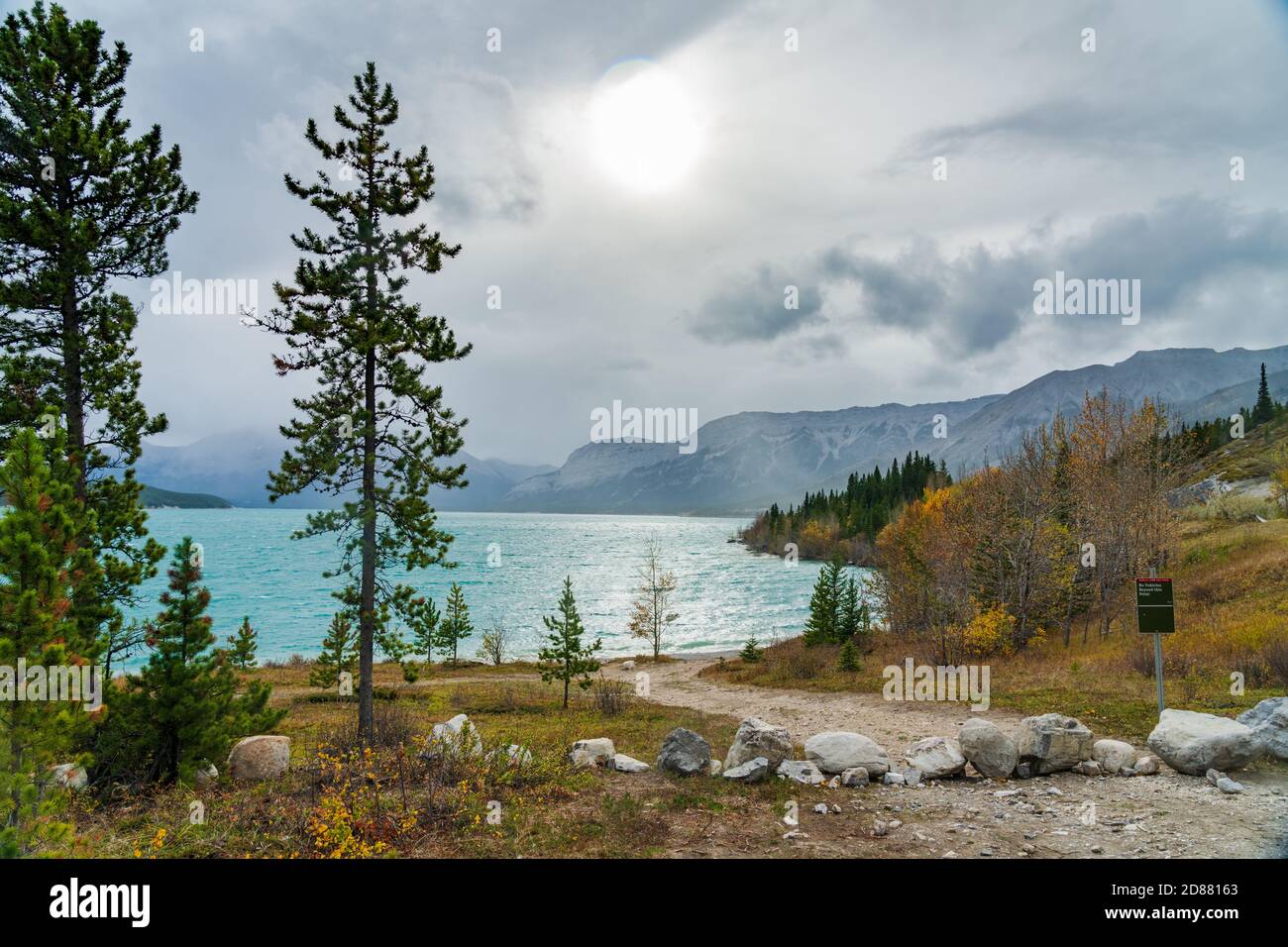 Blick auf die Landschaft am Abraham Seeufer in der Herbstsaison. Jasper National Park, Alberta, Kanada. Stockfoto