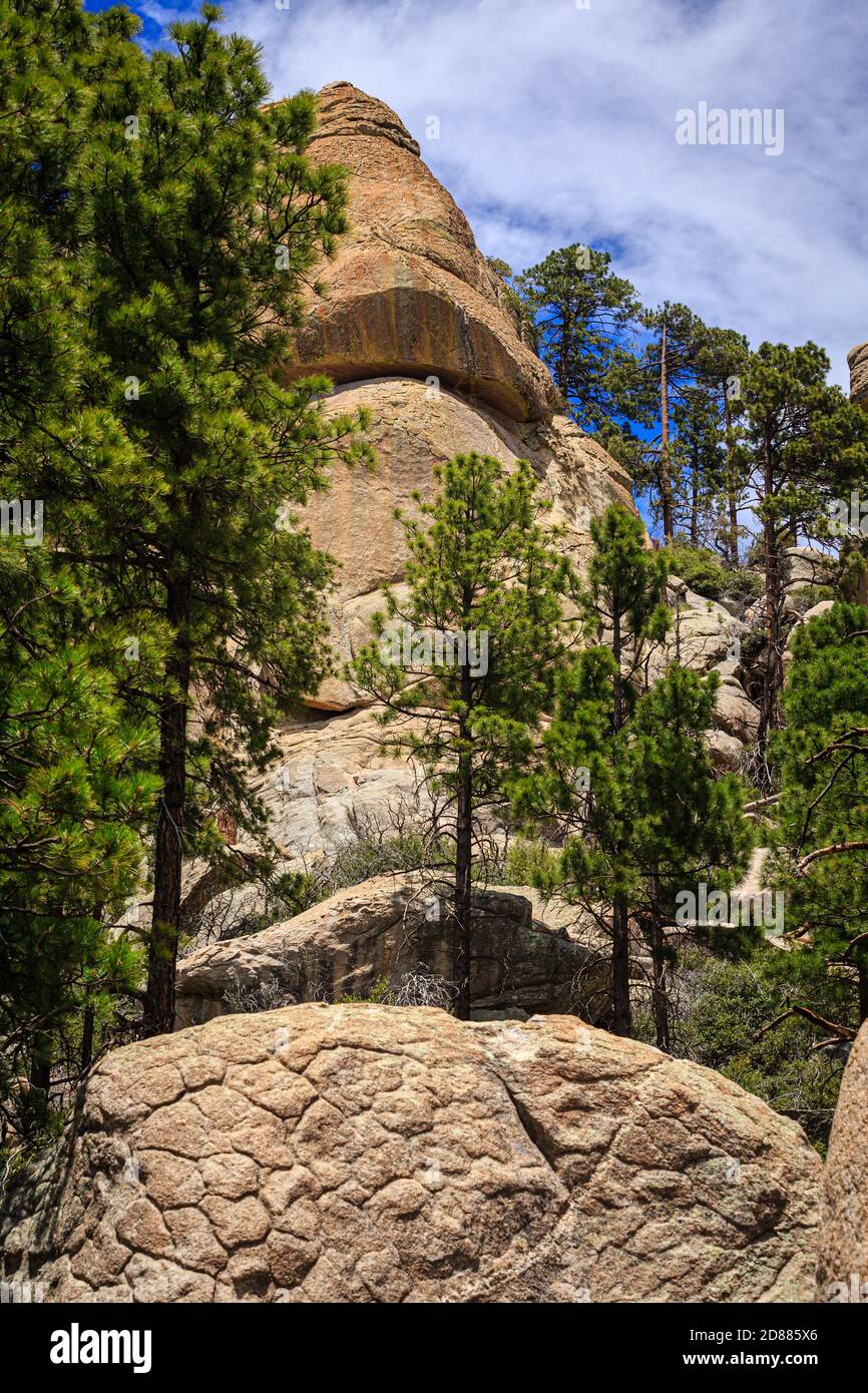 Fantasievolle Formationen entlang Wilderness of Rock Trail in den Santa Catlina Mountiains in der Nähe von Tucson, AZ. (Vor dem Dickhornfeuer) Stockfoto
