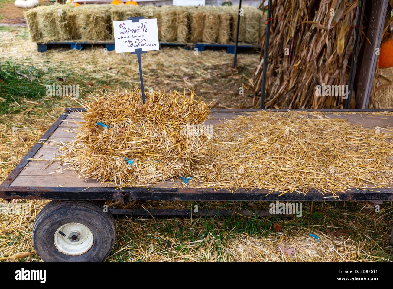 Nur ein Strohballen wird auf einem Bauernwagen im Cedar Creek-Geschäft in Leo-Cedarville, Indiana, USA, verkauft. Stockfoto