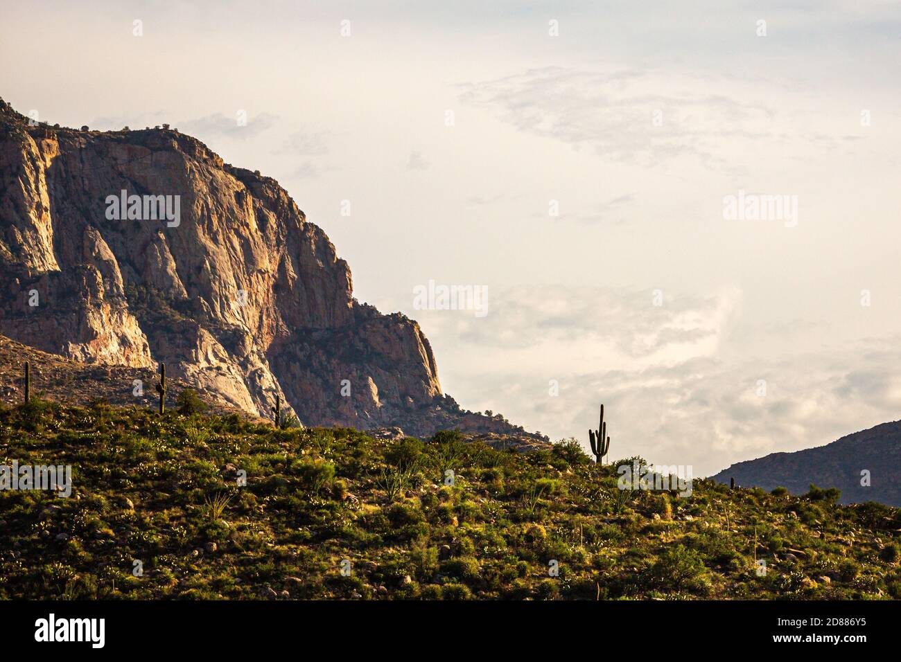 Eine schiere Felswand in Pusch Ridge, vom Catalina State Park, Oro Valley, Arizona aus gesehen. (In der Nähe von Tucson, vor dem Bighorn fier) Stockfoto