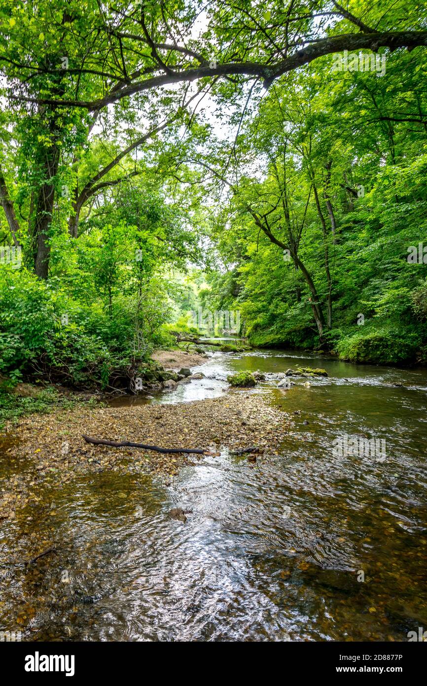 Fotografiert im Backbone State Park in Iowa. Stockfoto