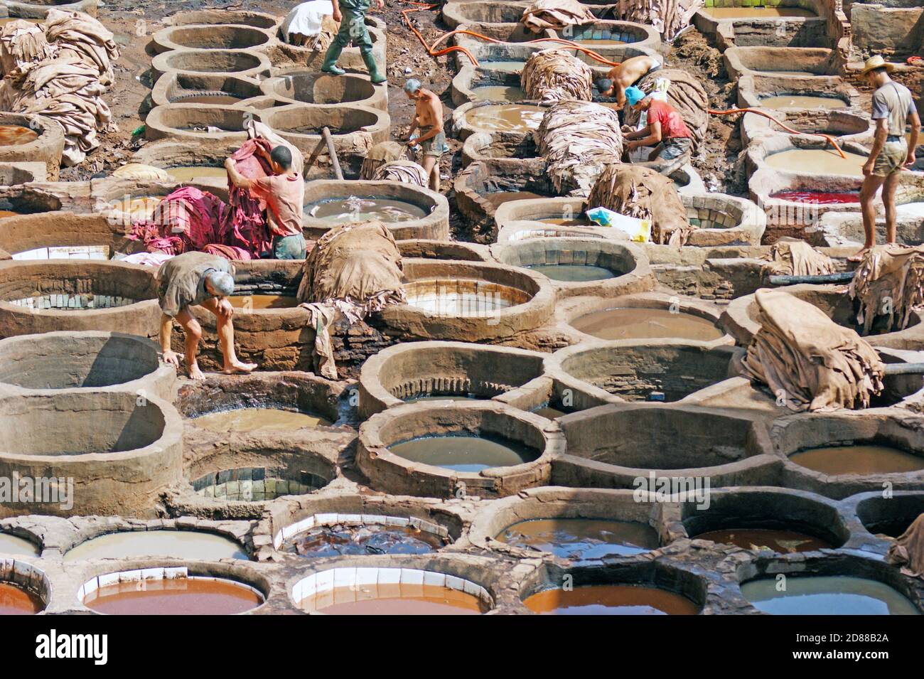 In der Chouara-Gerberei in Fez, Marokko, werden die Häute für die Lederindustrie weich und gefärbt. Stockfoto