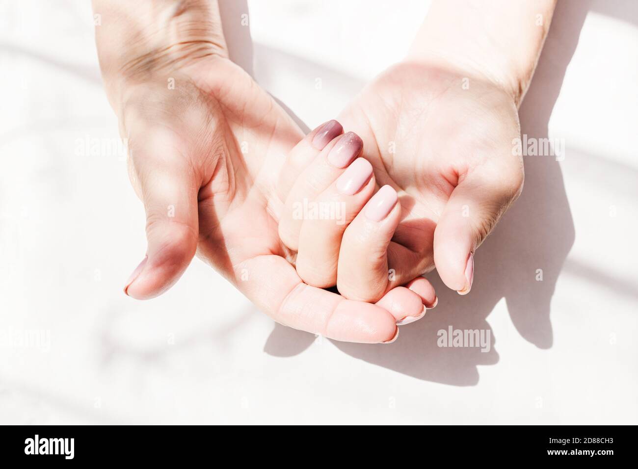 Gepflegte Hände einer alten, älteren Frau, mit einer schönen natürlichen Maniküre auf weißem Hintergrund mit Schatten Stockfoto