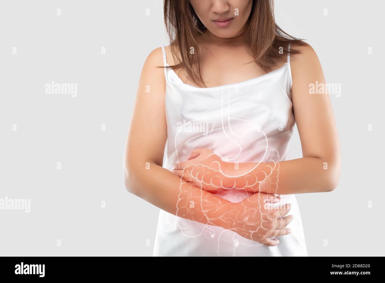 Darstellung des Darms und der inneren Organe im Frauenkörper vor grauem Hintergrund und Space links. Das Konzept der medizinischen Behandlung Stockfoto