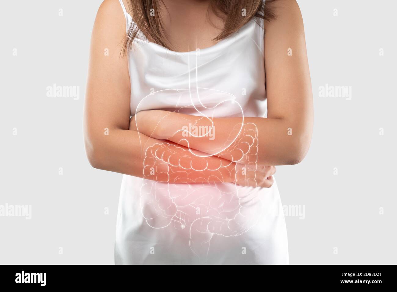 Illustration der inneren Organe ist auf dem Körper der Frauen vor grauem Hintergrund, das Konzept der medizinischen Behandlung und Gesundheitsversorgung Stockfoto