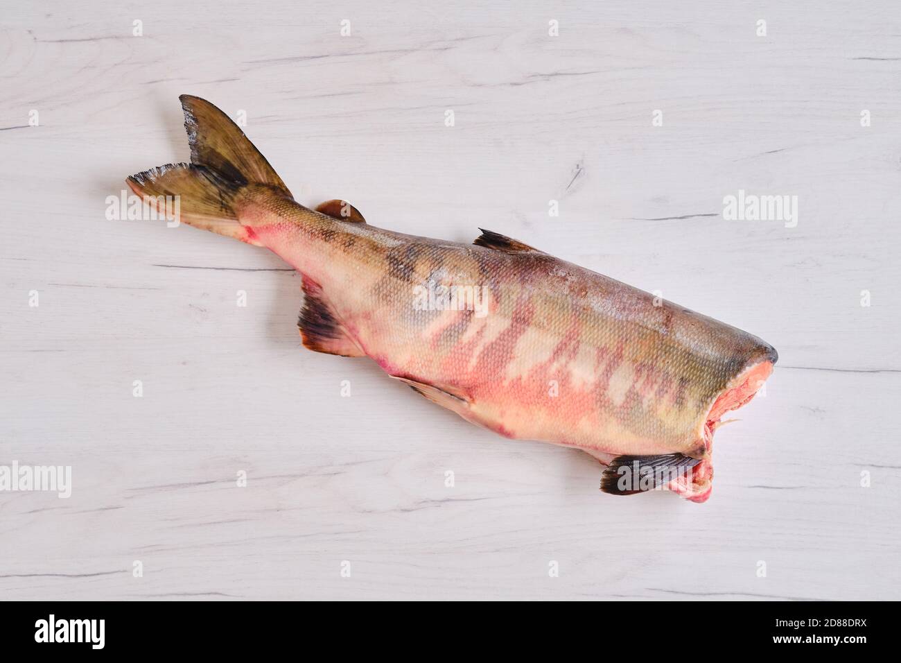 Gefrorener roher kopfloser Chum-Fisch Stockfoto