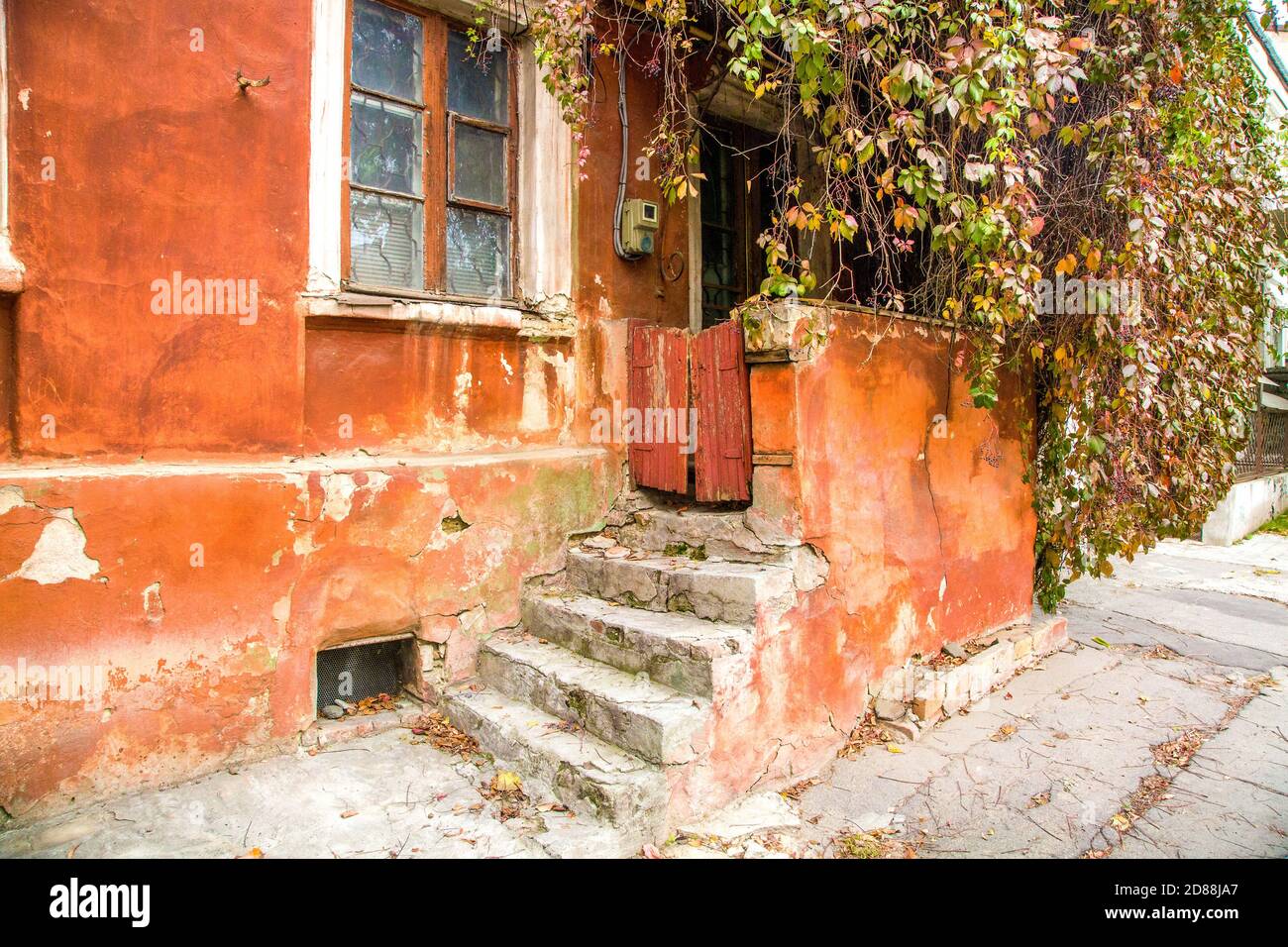 Bild Eingang zum alten Haus mit wilden Trauben bewachsen Stockfoto