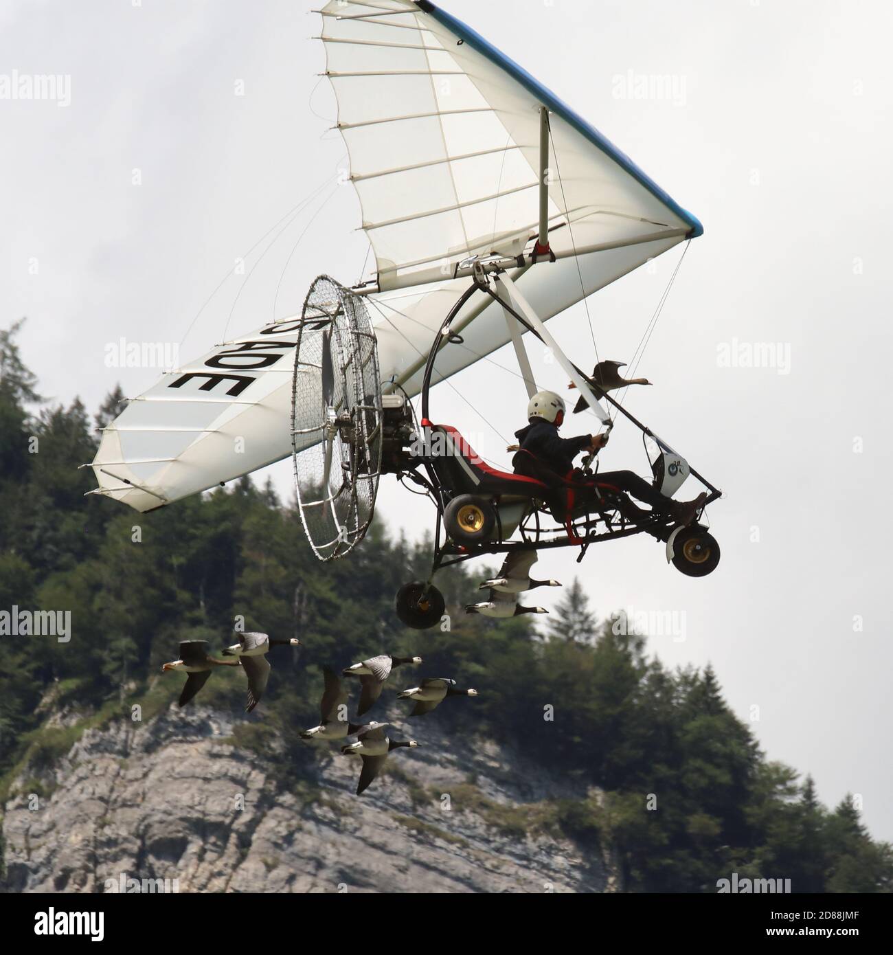 Mollis, Kanton Glarus (GL)/ Schweiz - August 16 2019: Flugschau von Christian Moullec, mit Ultraleichtflugzeugen begleitet von der Seegans Stockfoto