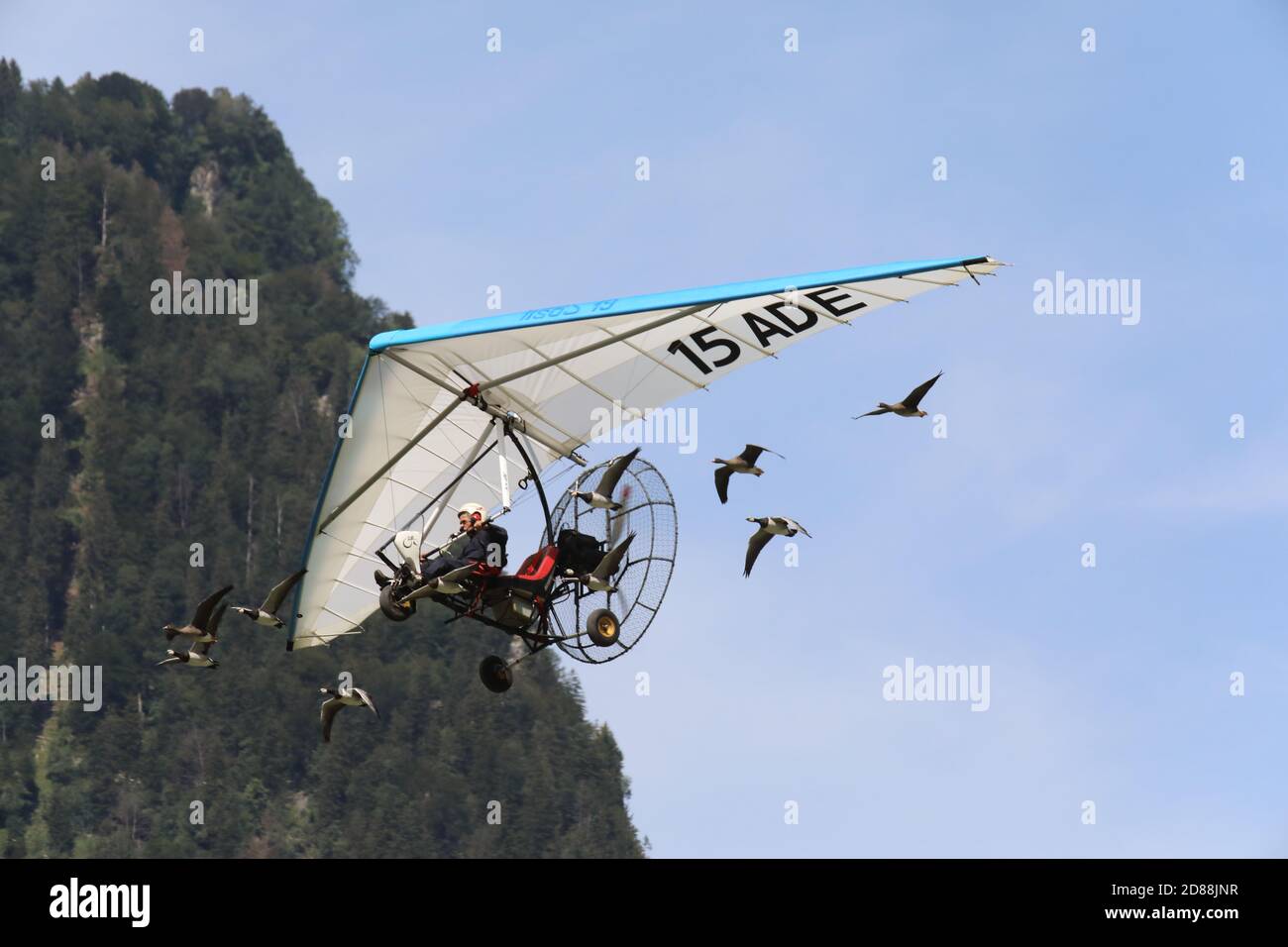 Mollis, Kanton Glarus (GL)/ Schweiz - August 16 2019: Flugschau von Christian Moullec, mit Ultraleichtflugzeugen begleitet von der Seegans Stockfoto