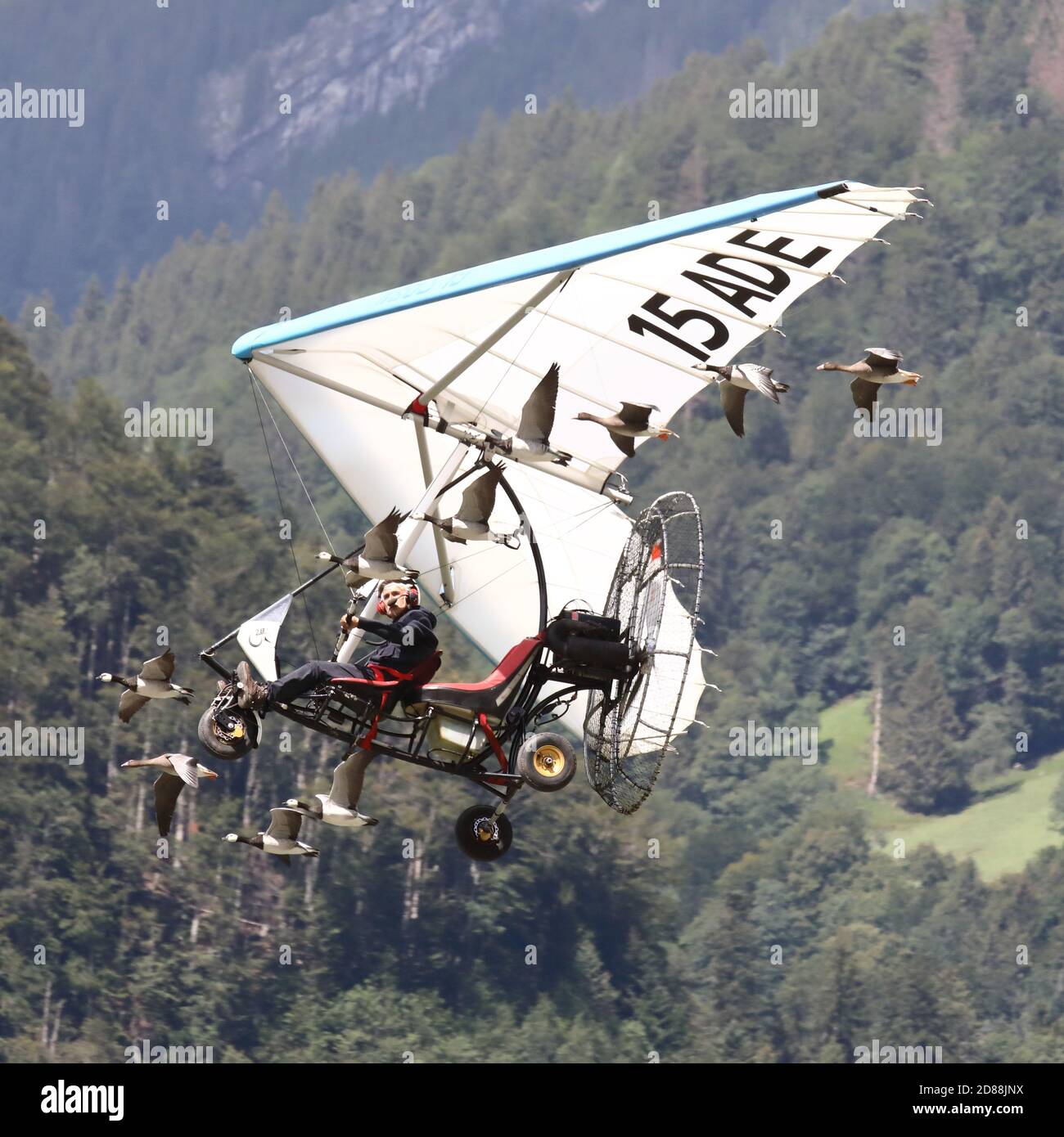 Mollis, Kanton Glarus (GL)/ Schweiz - August 16 2019: Flugschau von Christian Moullec, mit Ultraleichtflugzeugen begleitet von der Seegans Stockfoto
