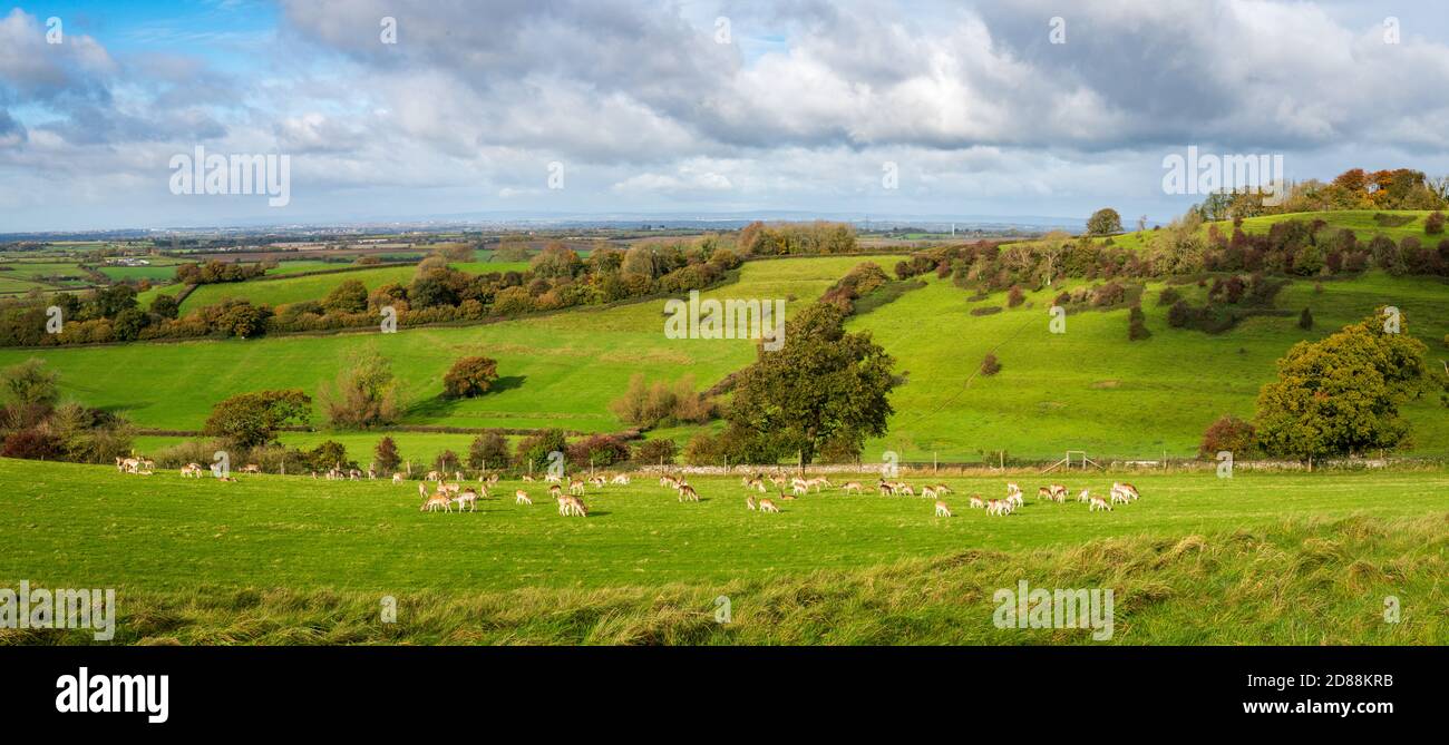 Landschaft in Wiltshire vom Dyrham Park Stockfoto