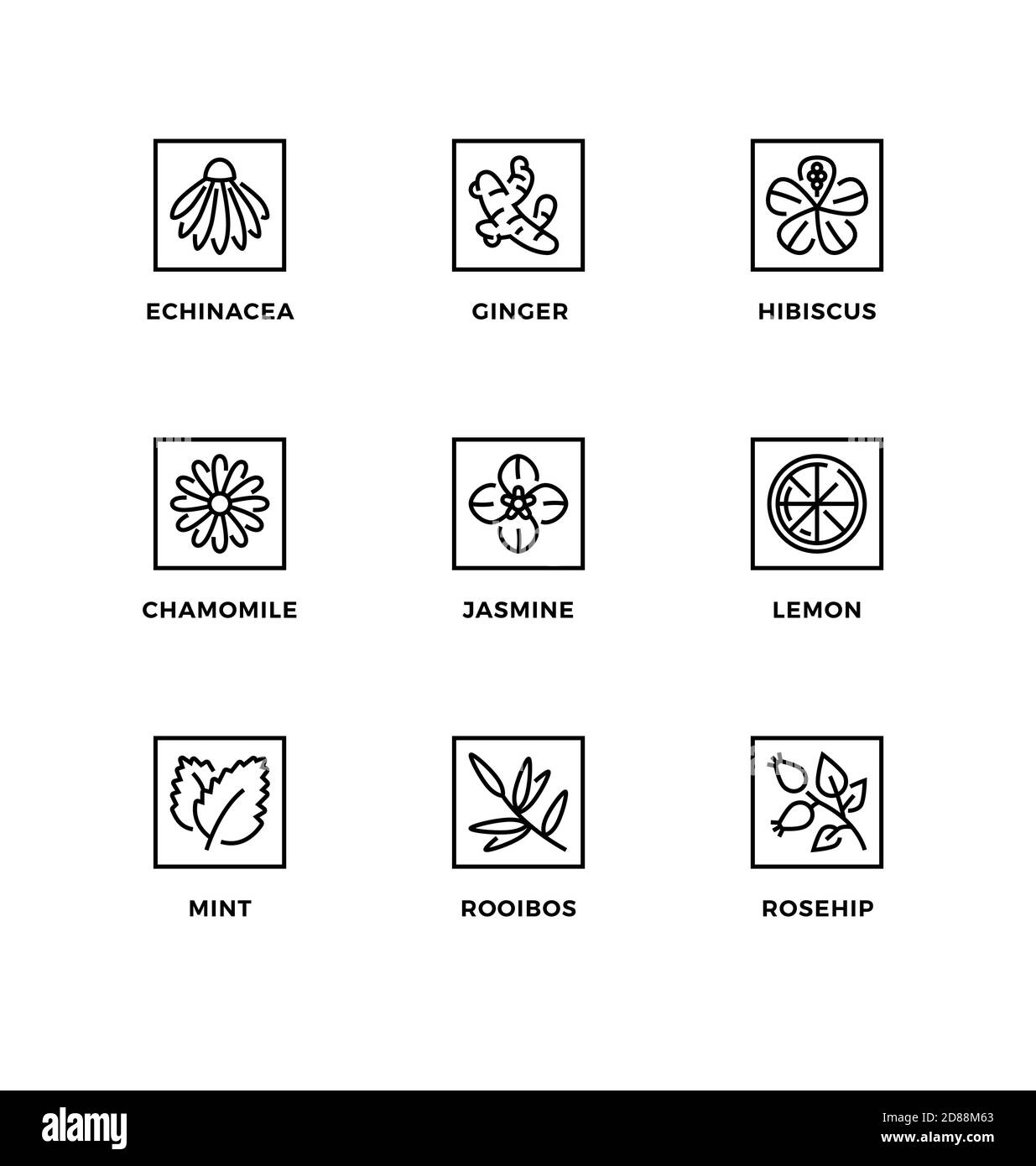 Vektor-Set von Design-Elementen, Logo-Design-Vorlage, Symbole und Abzeichen für den Geschmack von Bio-Tee. Schwarz-Weiß, Strichsymbole, bearbeitbare Kontur. Stock Vektor