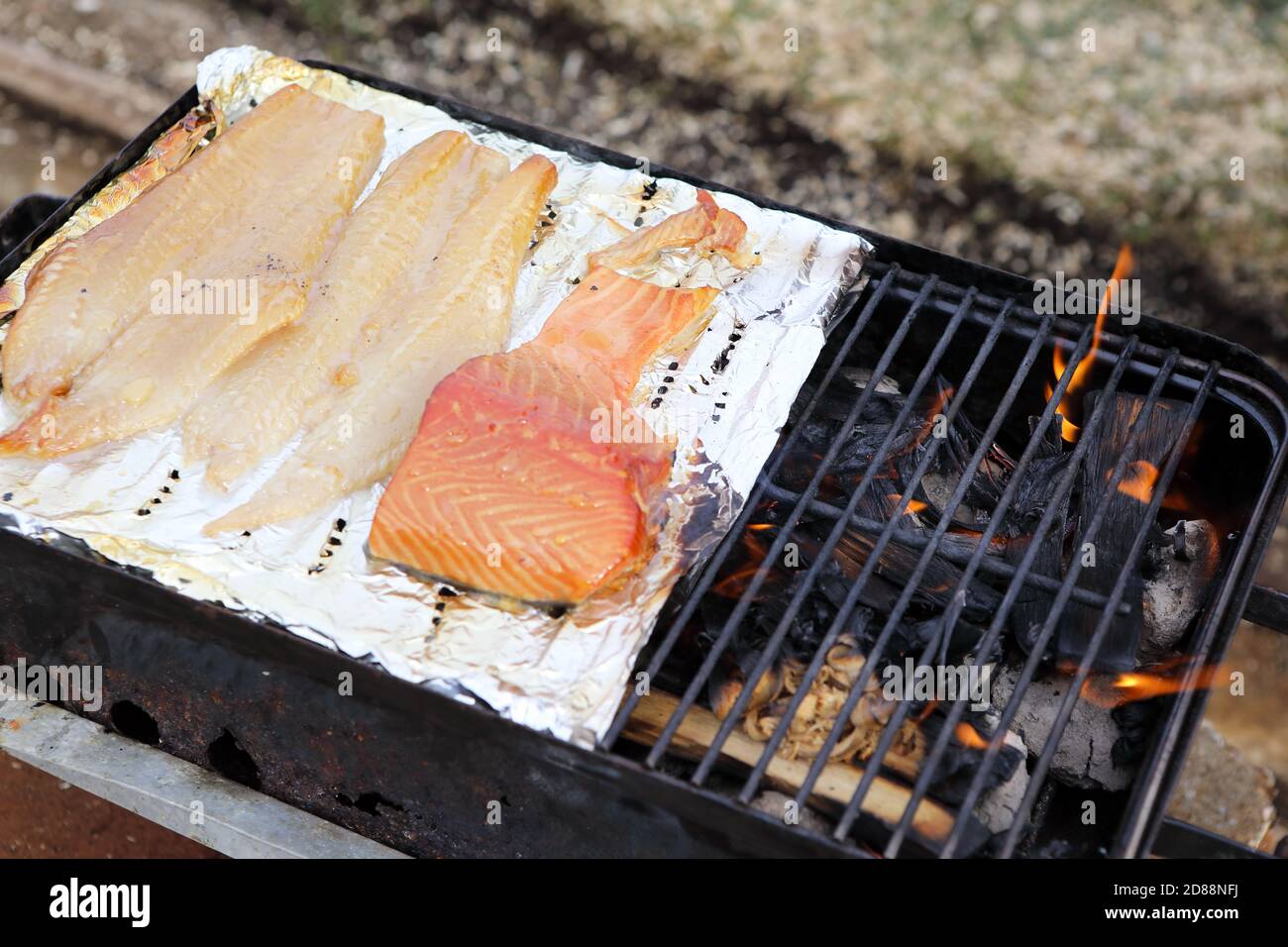 Rauchen von Lachs und Schellfisch im Garten hinter dem Haus während Covid 19 Lockdown 2020 Schottland Stockfoto