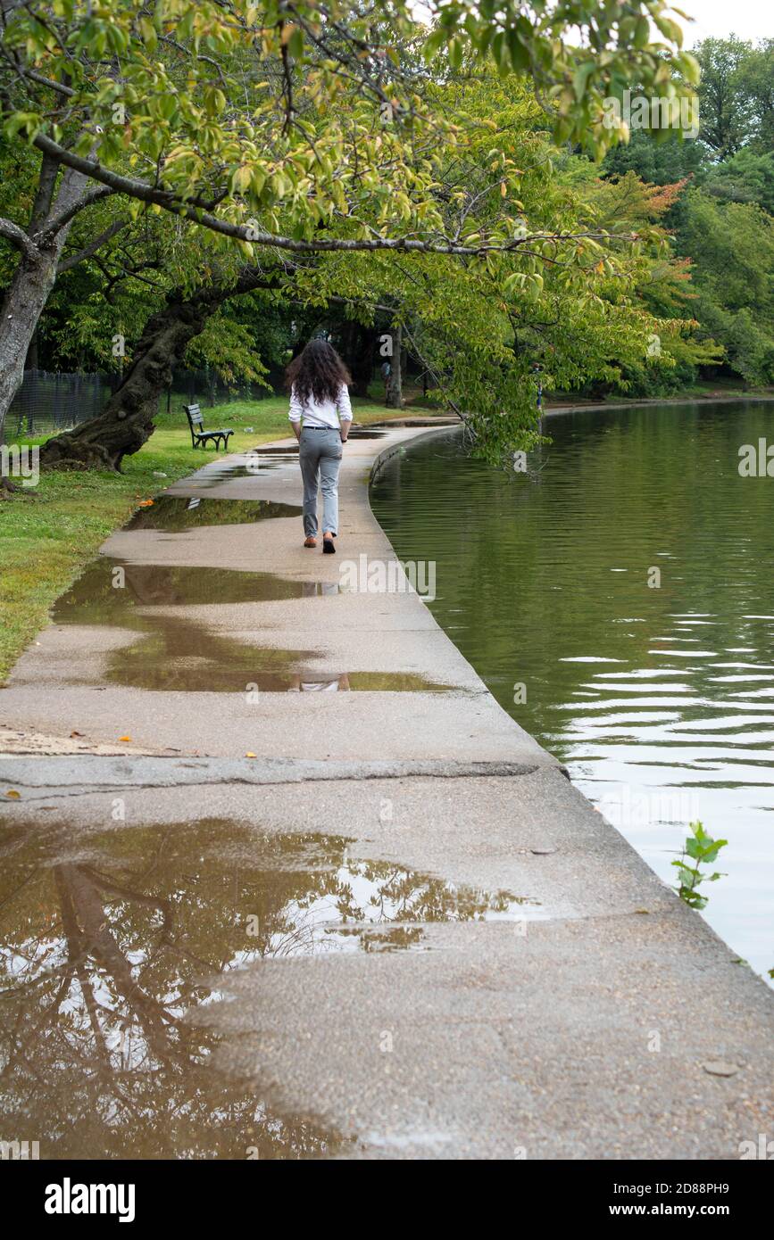 Ein Mann geht weg Pfützen auf Weg und Teich reflektieren Bäume Stockfoto