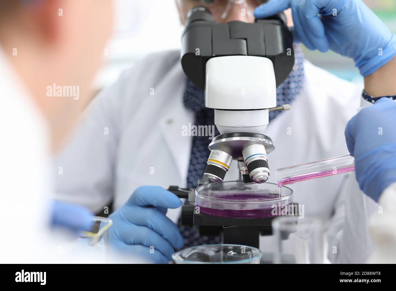 Wissenschaftler in Brillen und Gummihandschuhe schaut durch das Mikroskop wo Rosa Flüssigkeit wird in Nahaufnahme gegossen Stockfoto