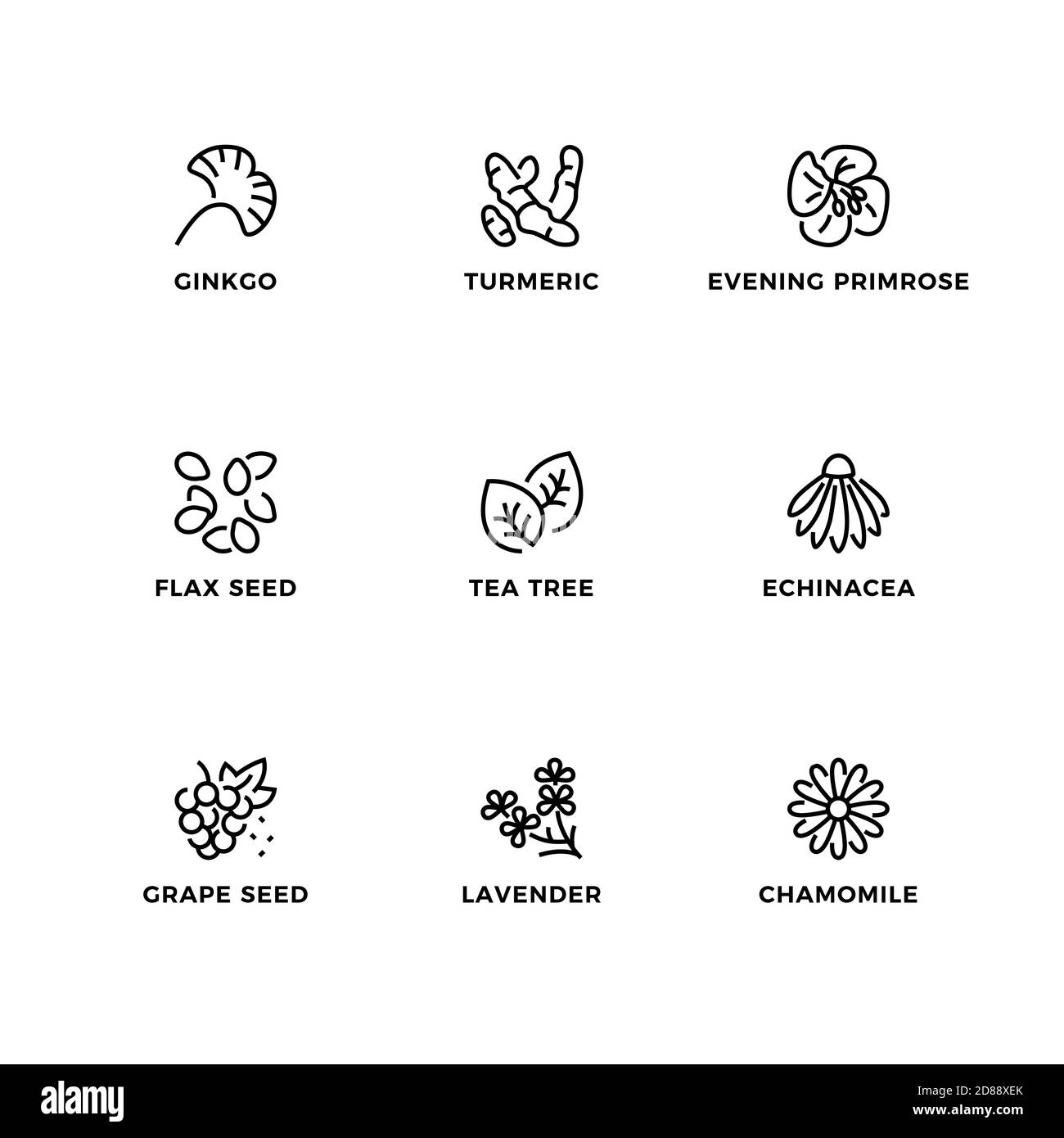 Vektor-Set von Design-Elementen, Logo-Design-Vorlage, Symbole und Abzeichen für medizinische Pflanzen. Liniensymbole gesetzt, bearbeitbare Kontur. Stock Vektor