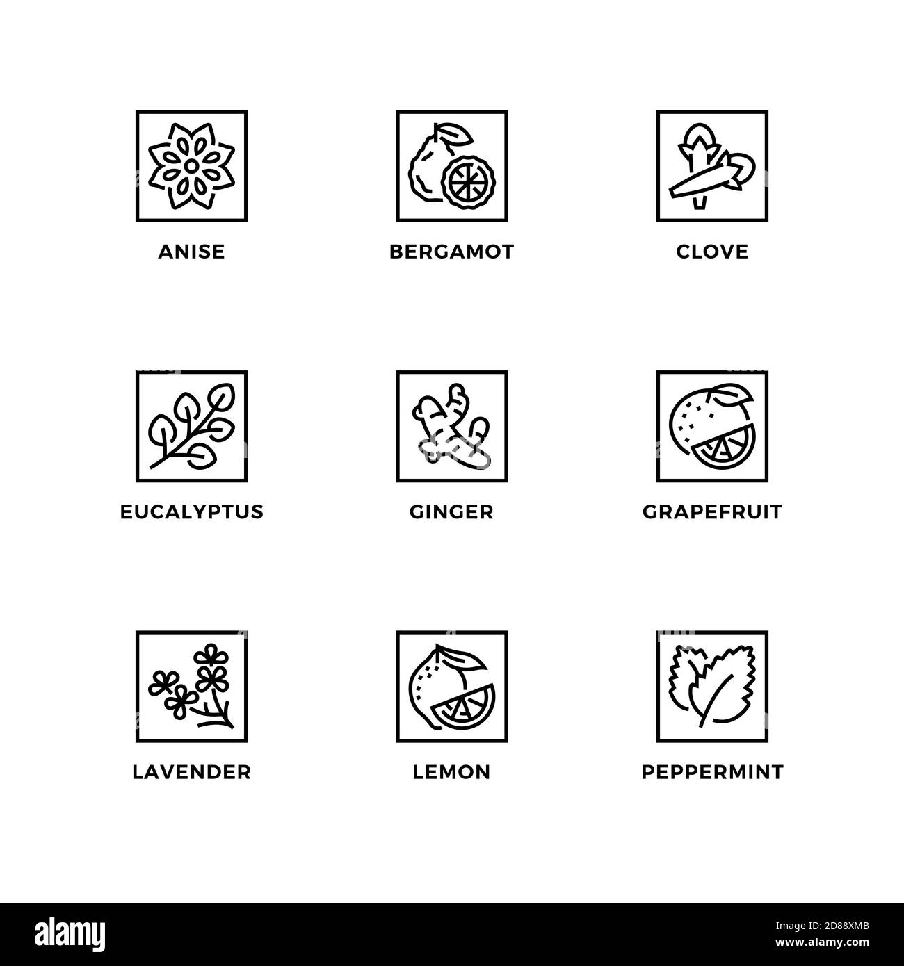 Vektor-Set von Design-Elementen, Logo-Design-Vorlage, Symbole und Abzeichen für editierbare ätherische Öle. Liniensymbole gesetzt, bearbeitbare Kontur. Stock Vektor