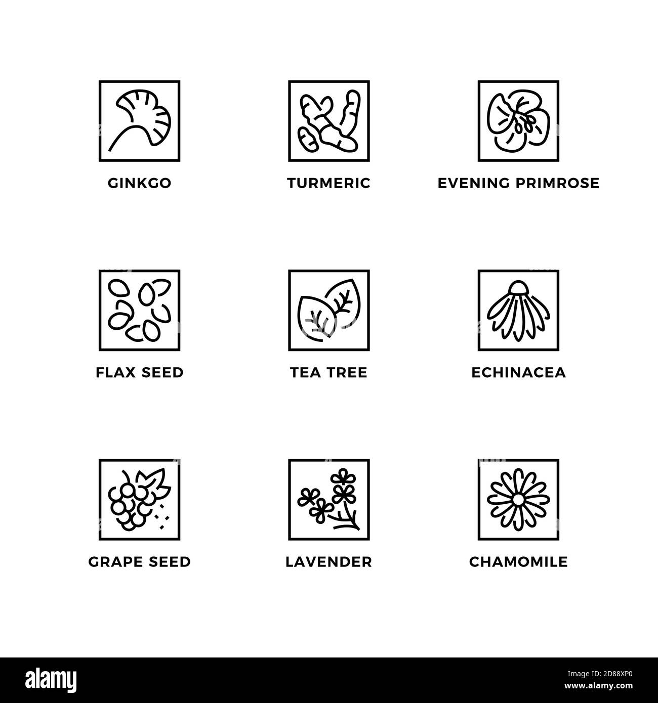 Vektor-Set von Design-Elementen, Logo-Design-Vorlage, Symbole und Abzeichen für medizinische Pflanzen. Liniensymbole gesetzt, bearbeitbare Kontur. Stock Vektor