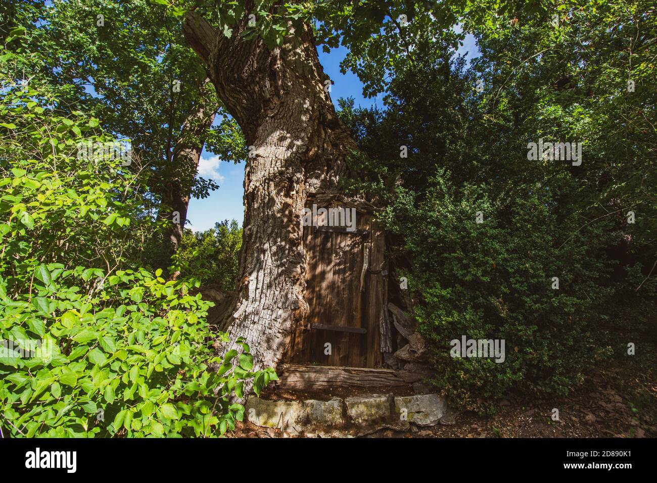 Berlin, Deutschland - Baum mit Tür auf Pfaueninsel im Wannsee. Ein nahe gelegenes Erholungsgebiet von Berlin Stockfoto