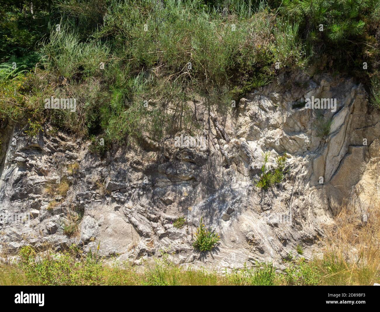 Geologische Formationen genannt Zwiebelfelsen in Arouca Geopark Stockfoto