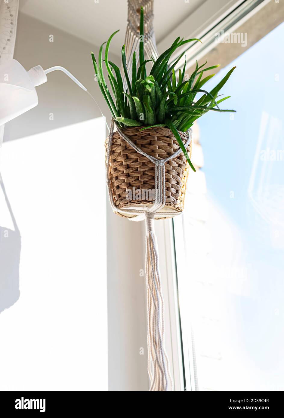 Makramee Pflanzenhänger 4-beinig – 129,5 Cm Lang, Aus Baumwolle, Für Töpfe 25–30 Cm (Innen & Außen)