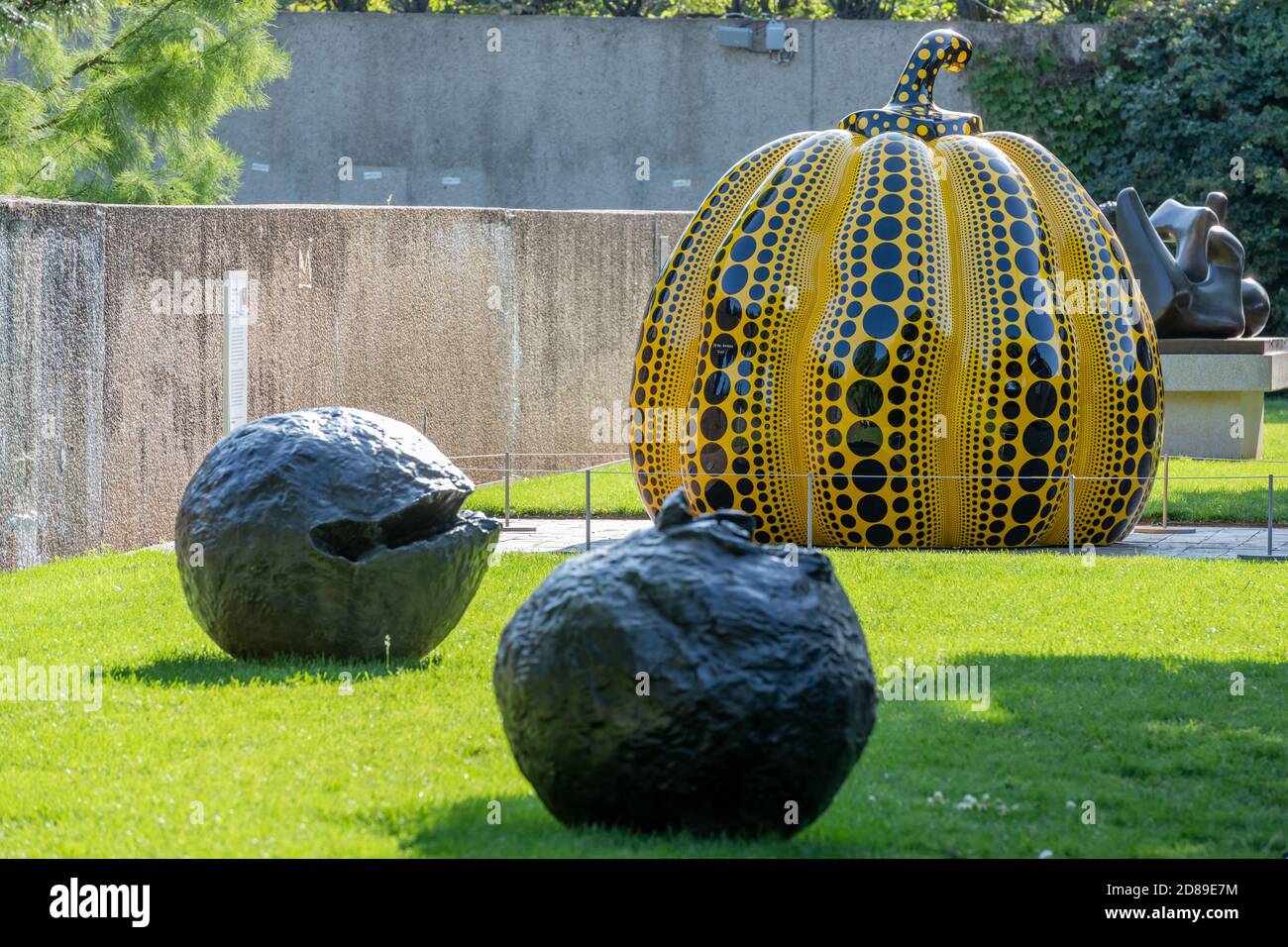 Yayoi Kasumas Kunstwerk 'Pumpkin' befindet sich hinter Lucia Fontanas Bronzeskulptur 'Spacial Concept: Nature' im Skulpturengarten des Hirshhorn Museums. Stockfoto