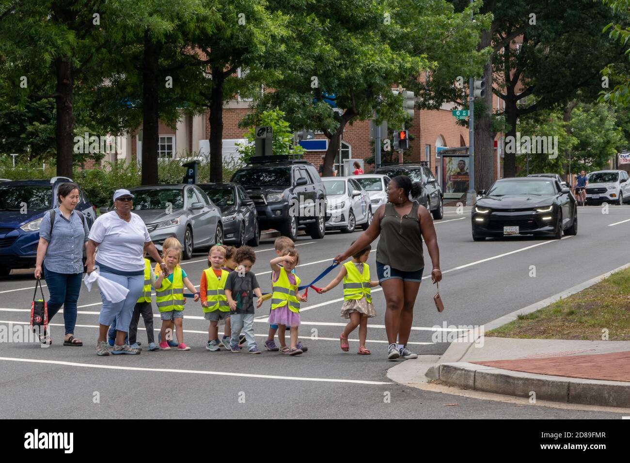 Eine angeschliebene Linie von kleinen Kindern in leuchtend gelben Westen mit hoher Sichtbarkeit wird sicher über einen Fußgängerüberweg in einer Vorstadtstraße in Washington, DC begleitet Stockfoto