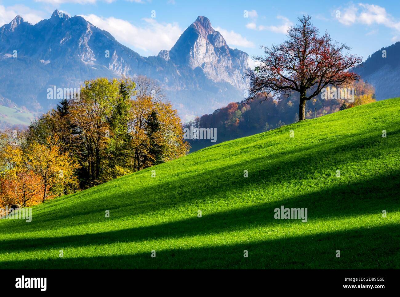 Grosse Mythenlandschaft im Herbst, Schwyz, Schweiz Stockfoto