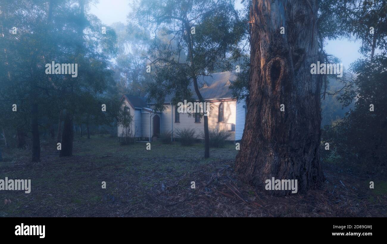 Lokale anglikanische Kirche im Eukalyptuswald in Mist, Australien Stockfoto