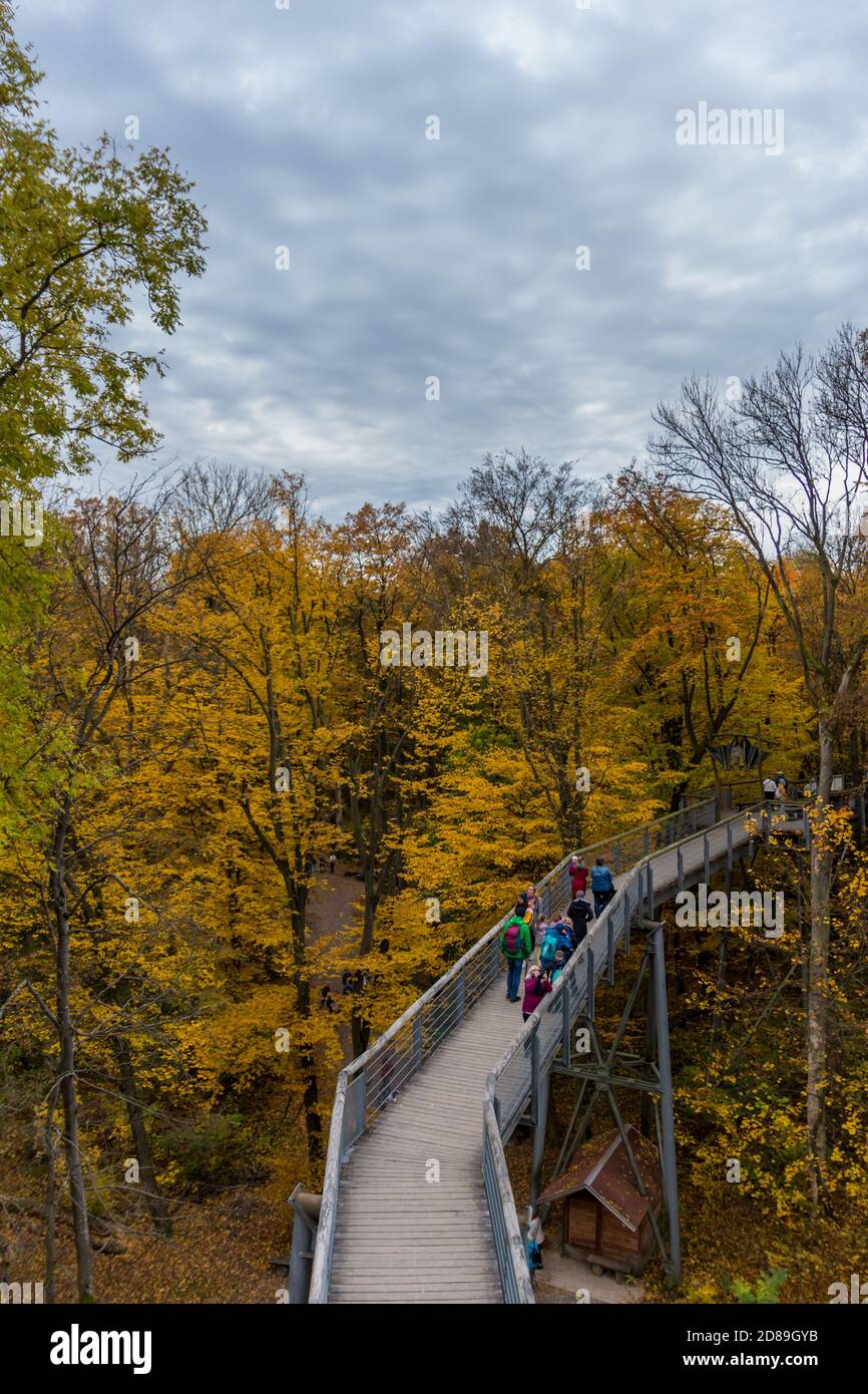 Herbststimmung im Nationalpark Hainich - Thüringen / Deutschland Stockfoto