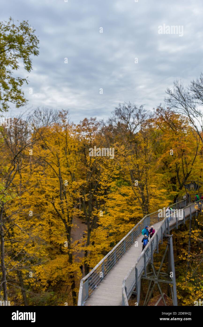 Herbststimmung im Nationalpark Hainich - Thüringen / Deutschland Stockfoto