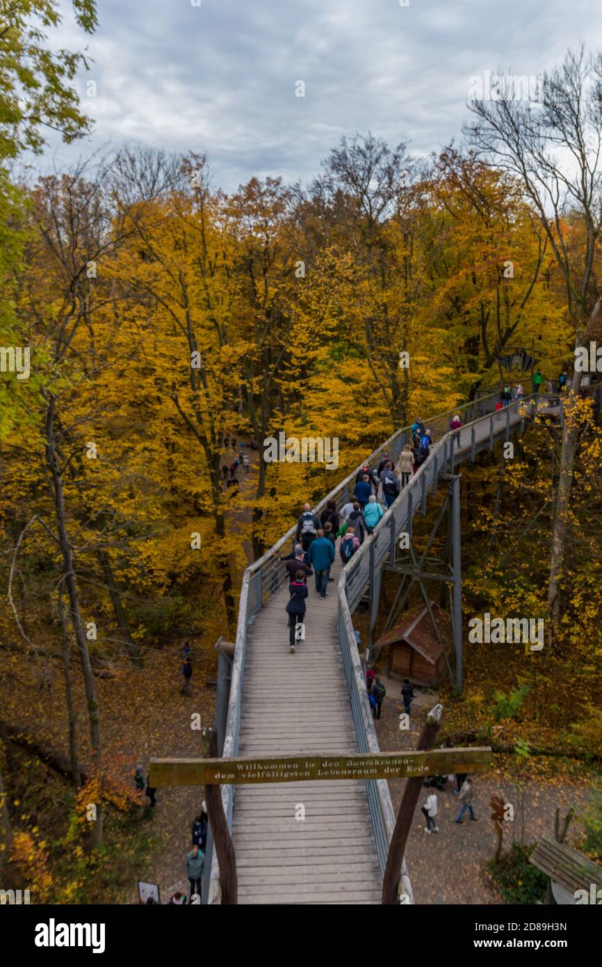 Herbststimmung im Nationalpark Hainich - Thüringen / Deutschland Stockfoto