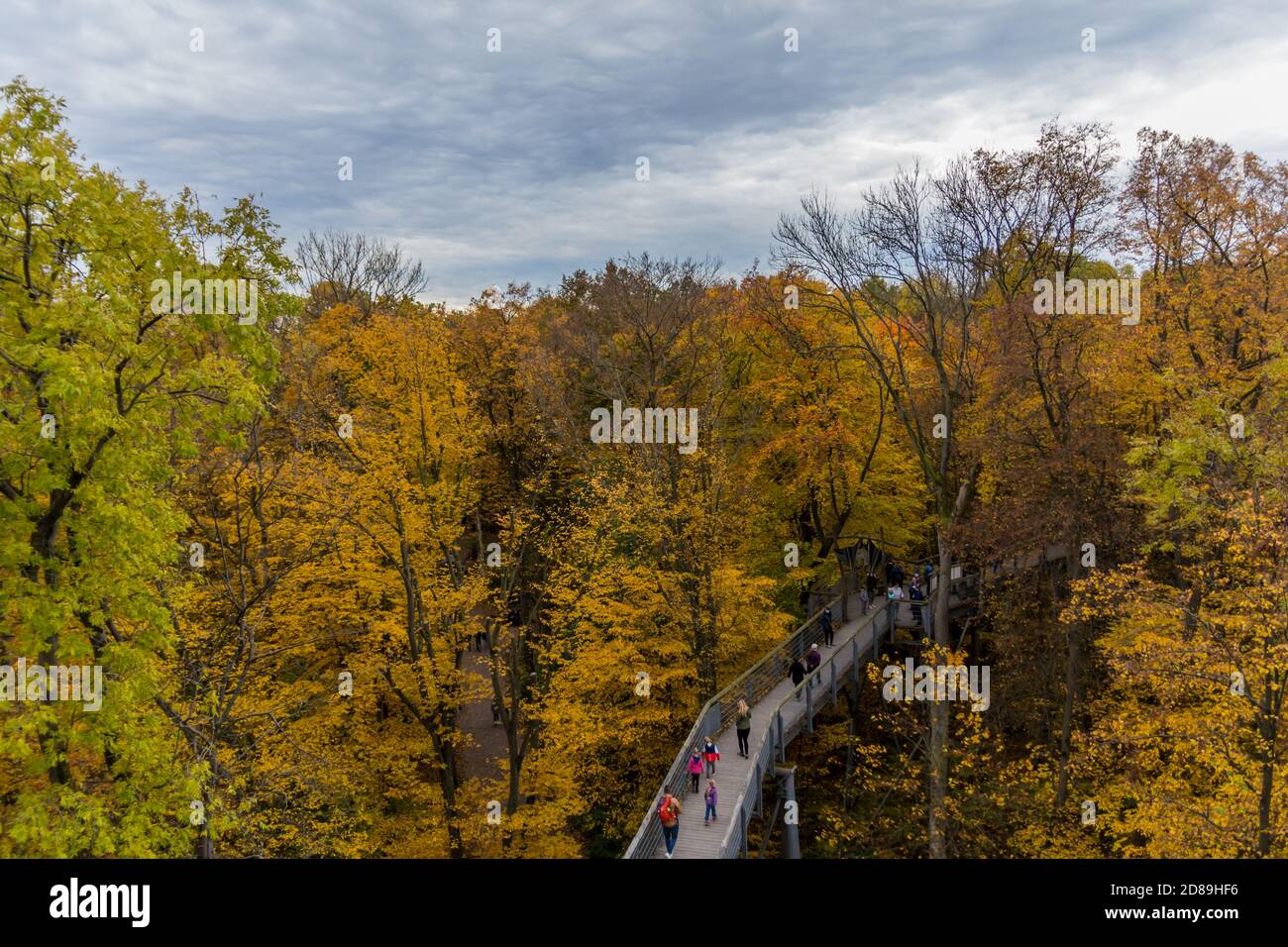 Herbststimmung im Nationalpark Hainich - Thüringen / Deutschland Stockfoto