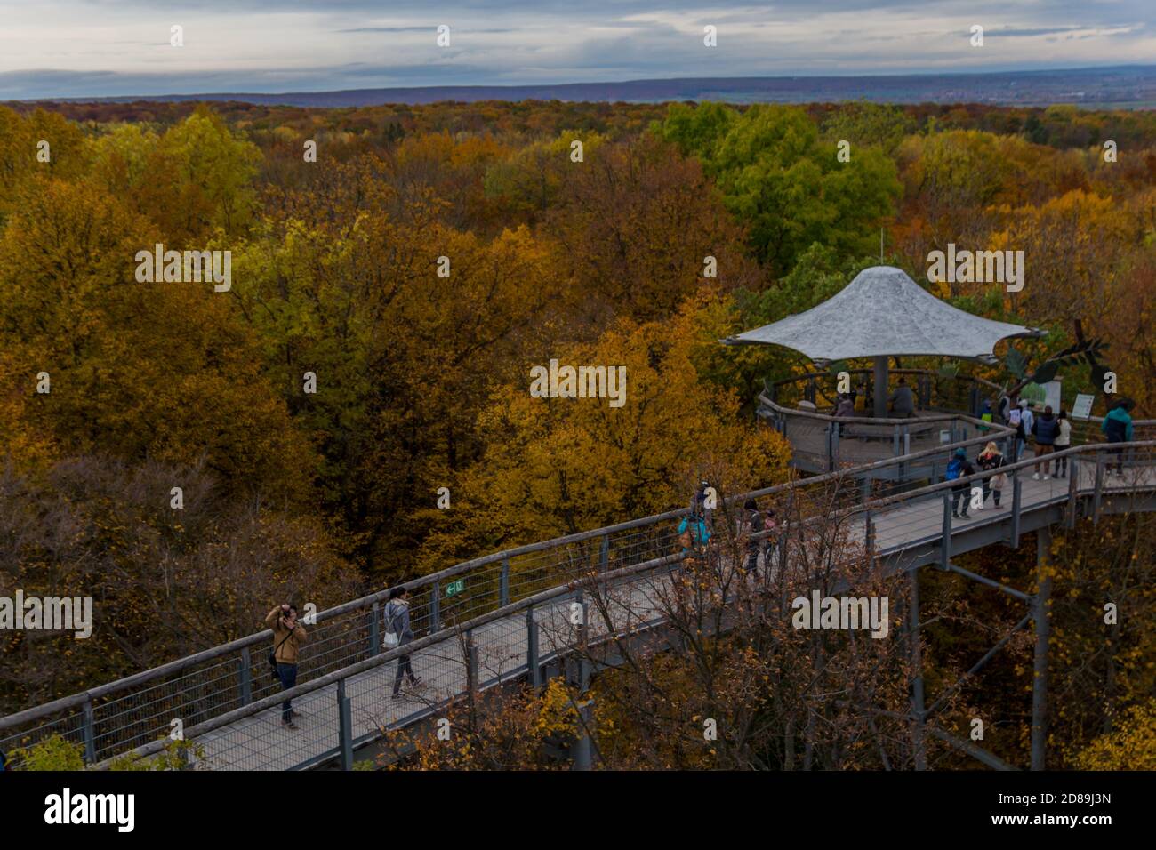 Herbststimmung im Nationalpark Hainich - Thüringen / Deutschland Stockfoto