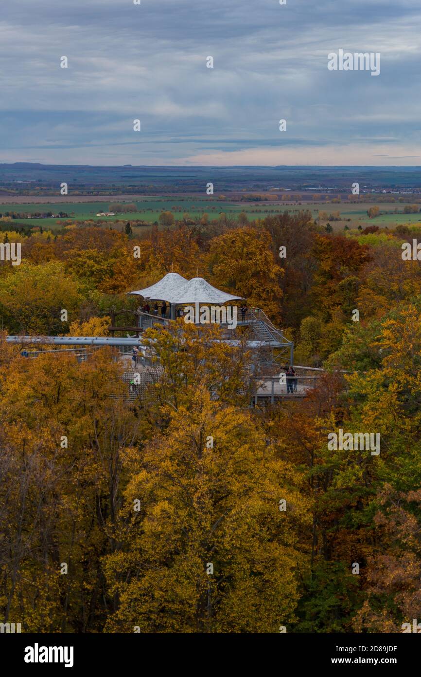 Herbststimmung im Nationalpark Hainich - Thüringen / Deutschland Stockfoto