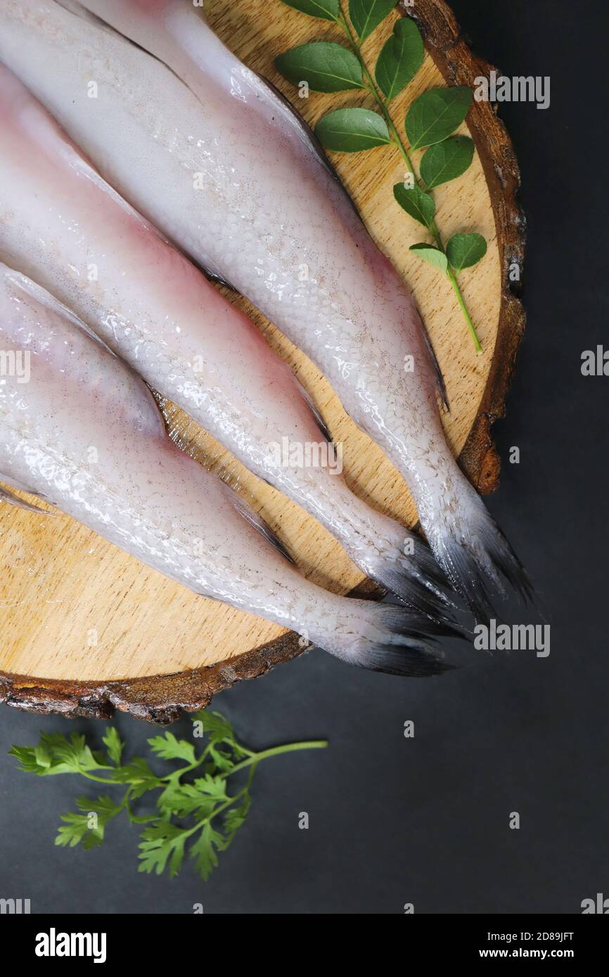 Frischer Seefisch Bombay Ente oder Bombil und Zutaten zum Kochen, grüner Koriander, Kurkblätter und Knoblauch. Schwarzer Hintergrund von oben. Speicherplatz kopieren Stockfoto