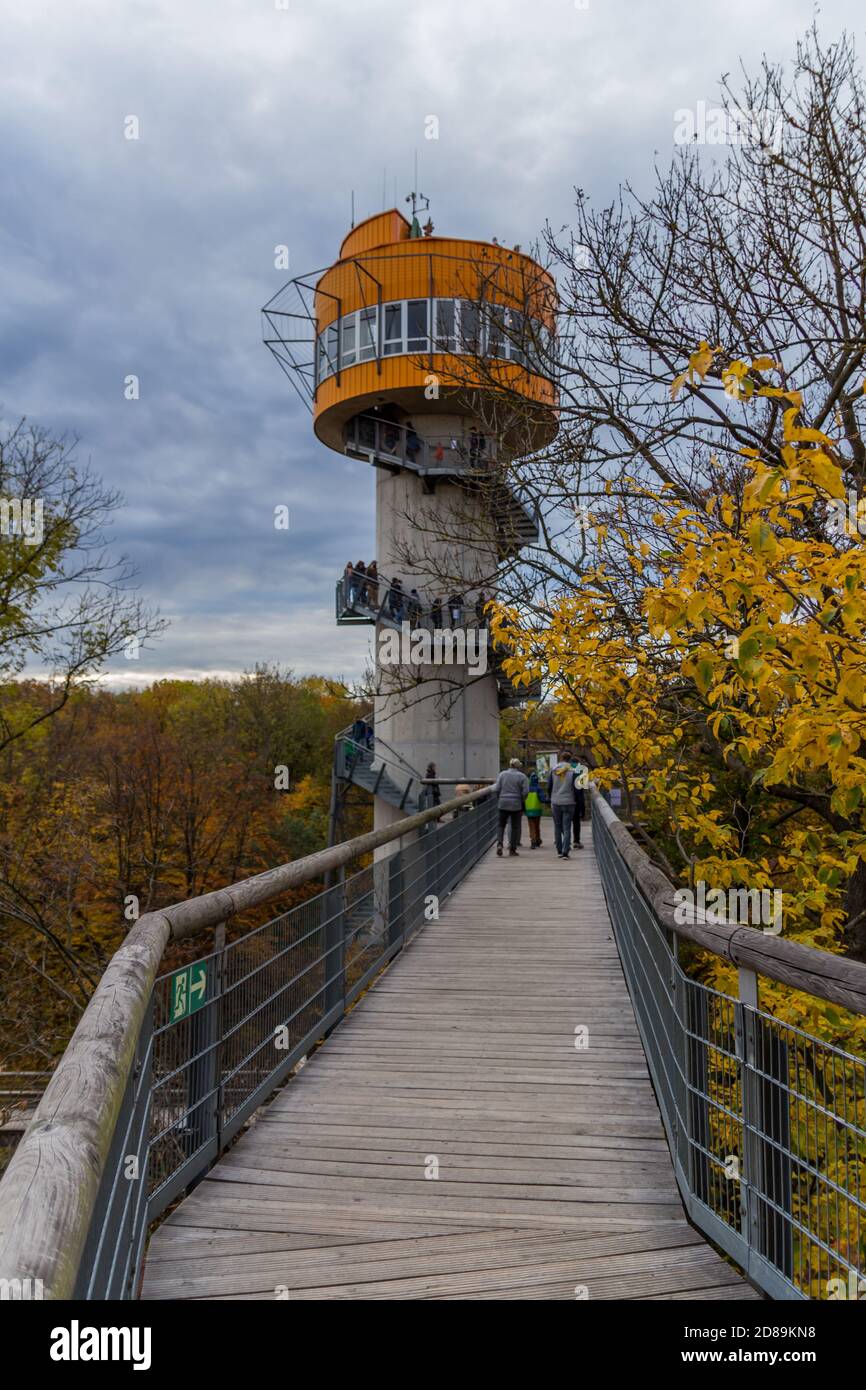 Herbststimmung im Nationalpark Hainich - Thüringen / Deutschland Stockfoto