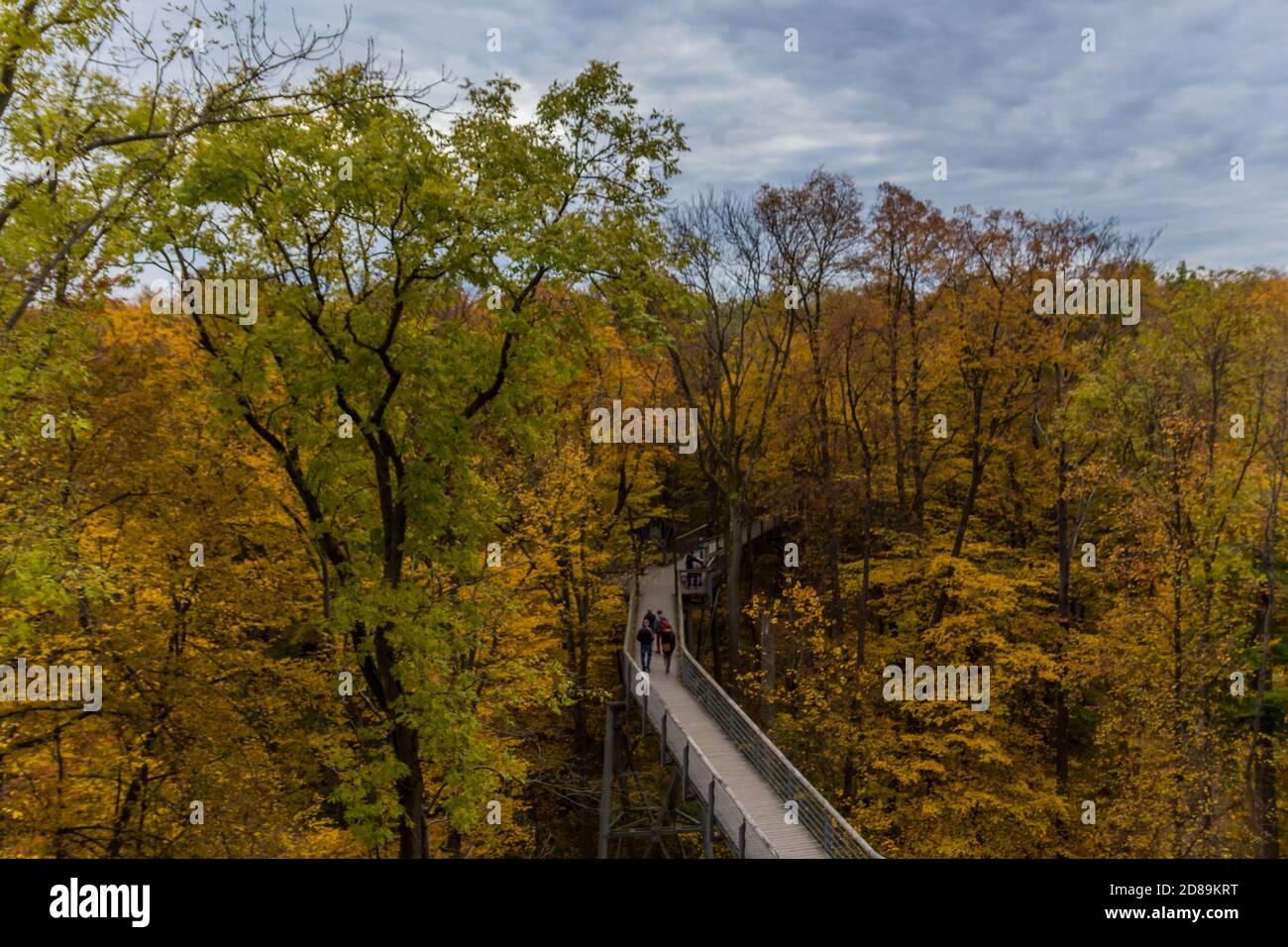 Herbststimmung im Nationalpark Hainich - Thüringen / Deutschland Stockfoto