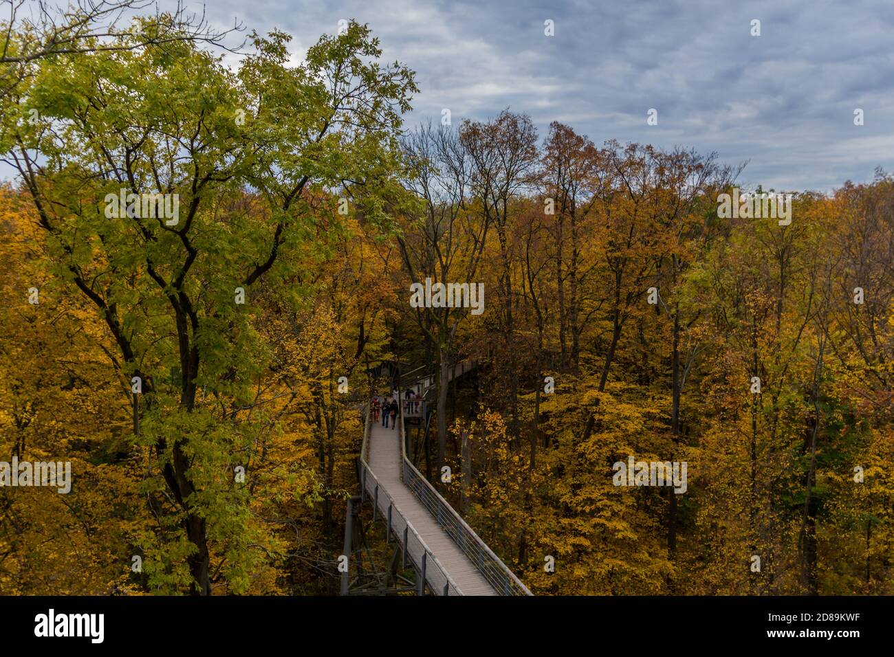 Herbststimmung im Nationalpark Hainich - Thüringen / Deutschland Stockfoto