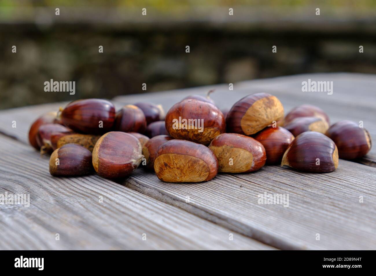 Kastanien auf einem Holztisch im Freien Stockfoto