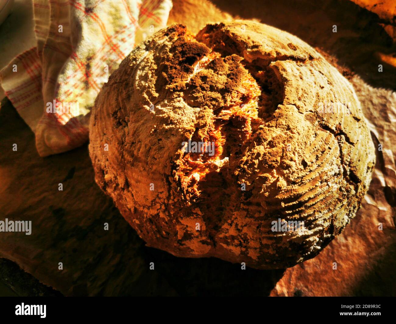 Frisches hausgemachtes braunes Brot, direkt aus dem Ofen Stockfoto