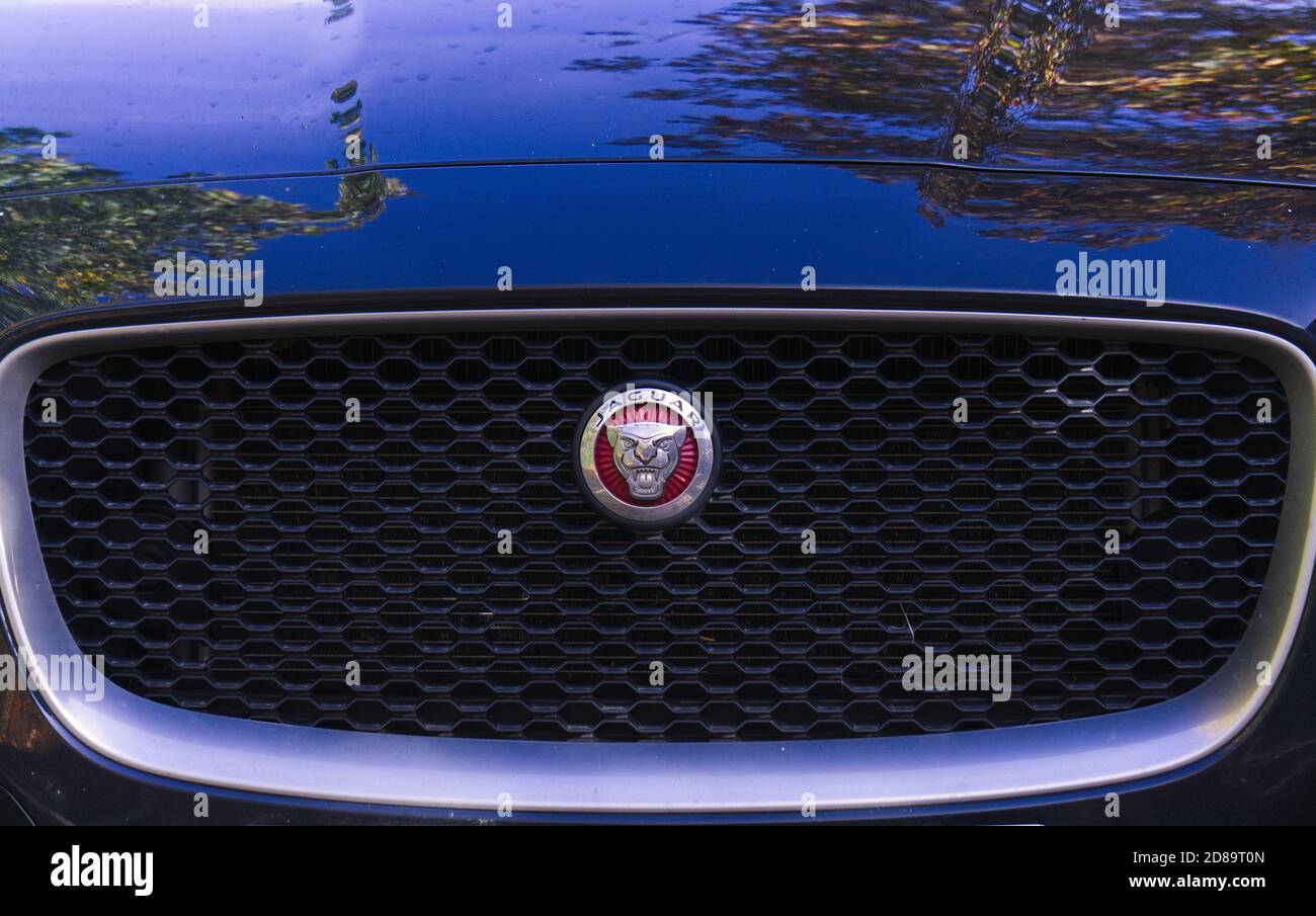 Jaguar SUV Grill Nahaufnahme Stockfoto