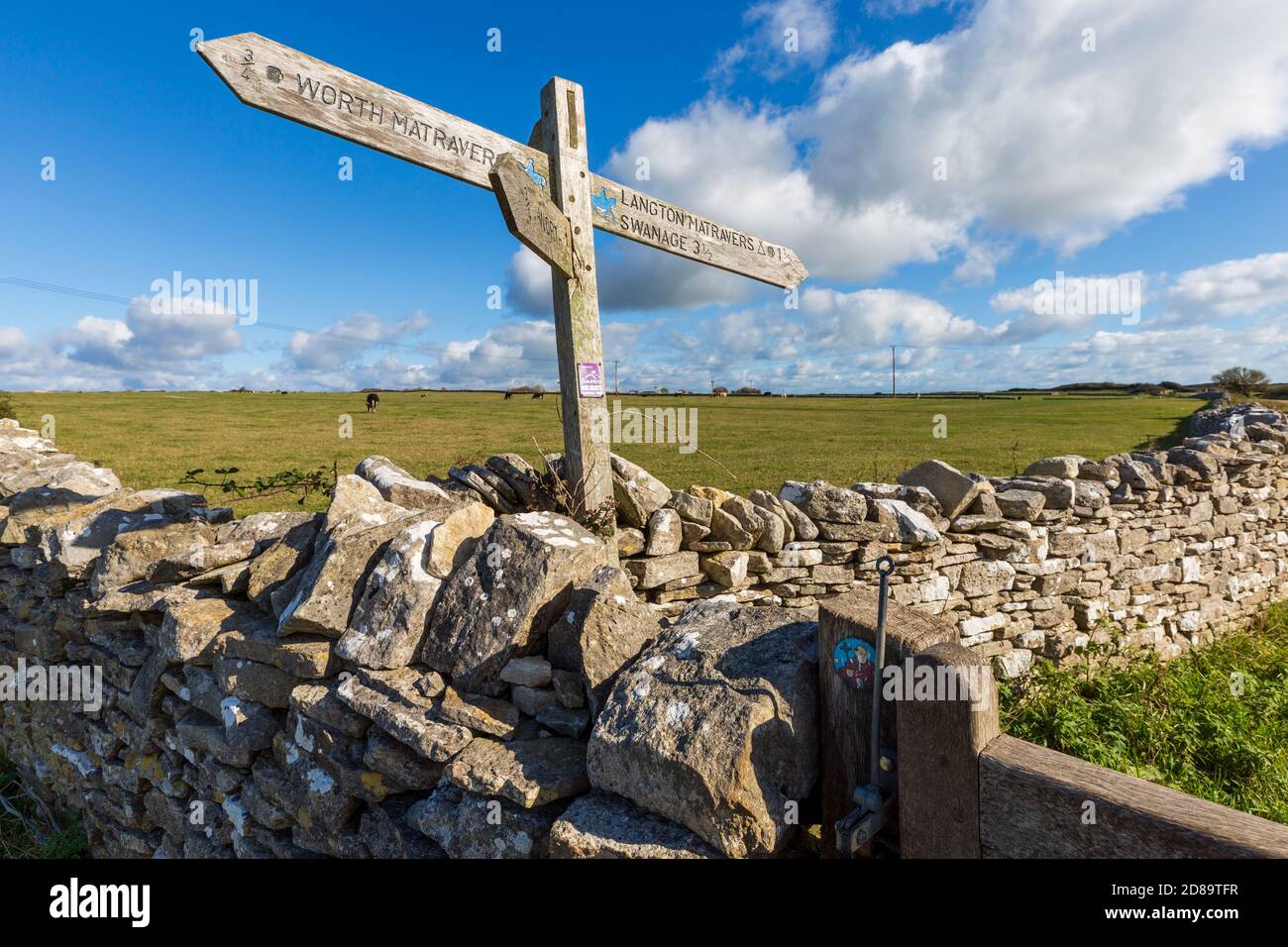 Der Weg des Priesters zwischen Worth Matravers und Langton Matravers auf der Isle of Purbeck, Dorset, England Stockfoto